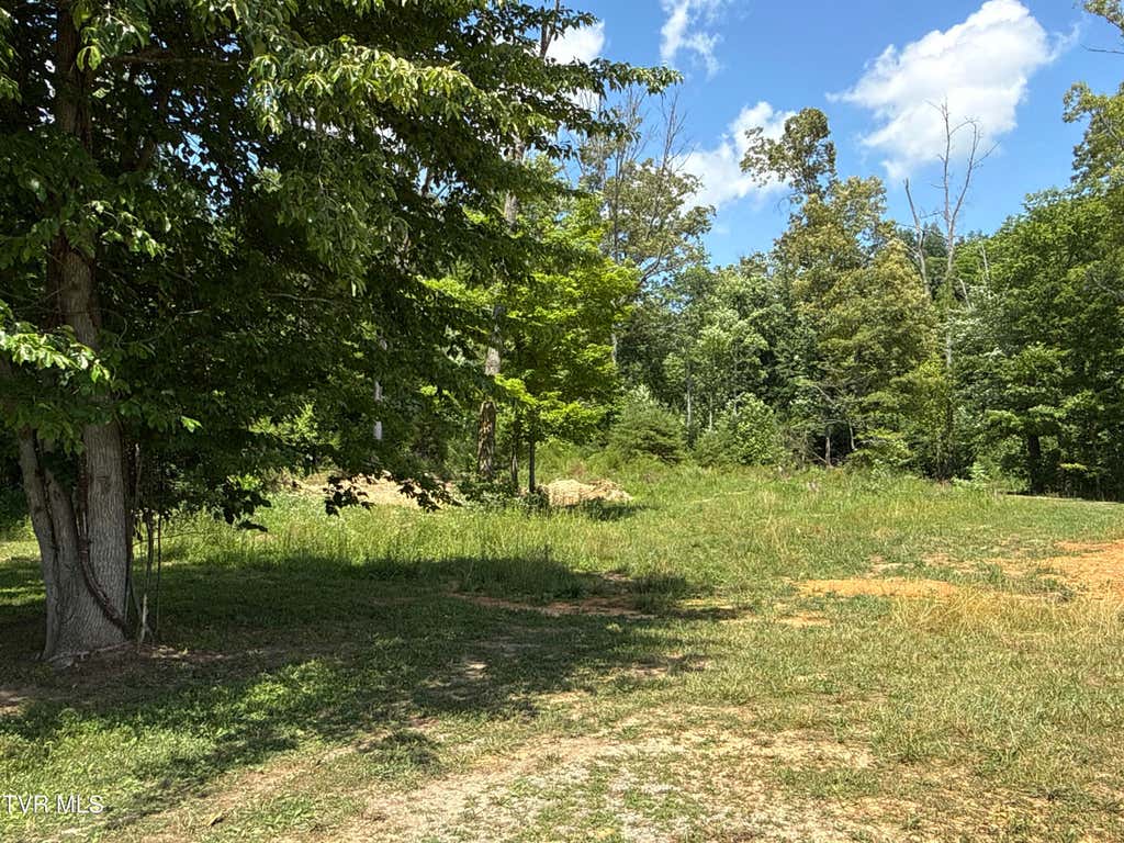 Photo of 12 Tbd Max Jett Road, Johnson City, TN 37601 (MLS # 9998127)