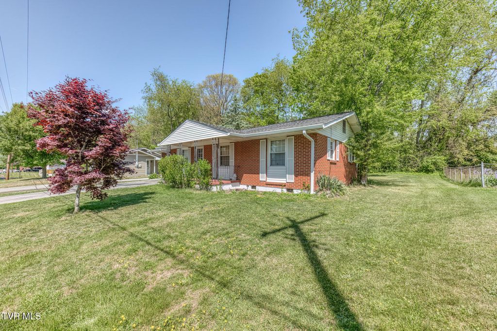 Photo of 171 Reedy Street, Bristol, VA 24201 (MLS # 9994445)