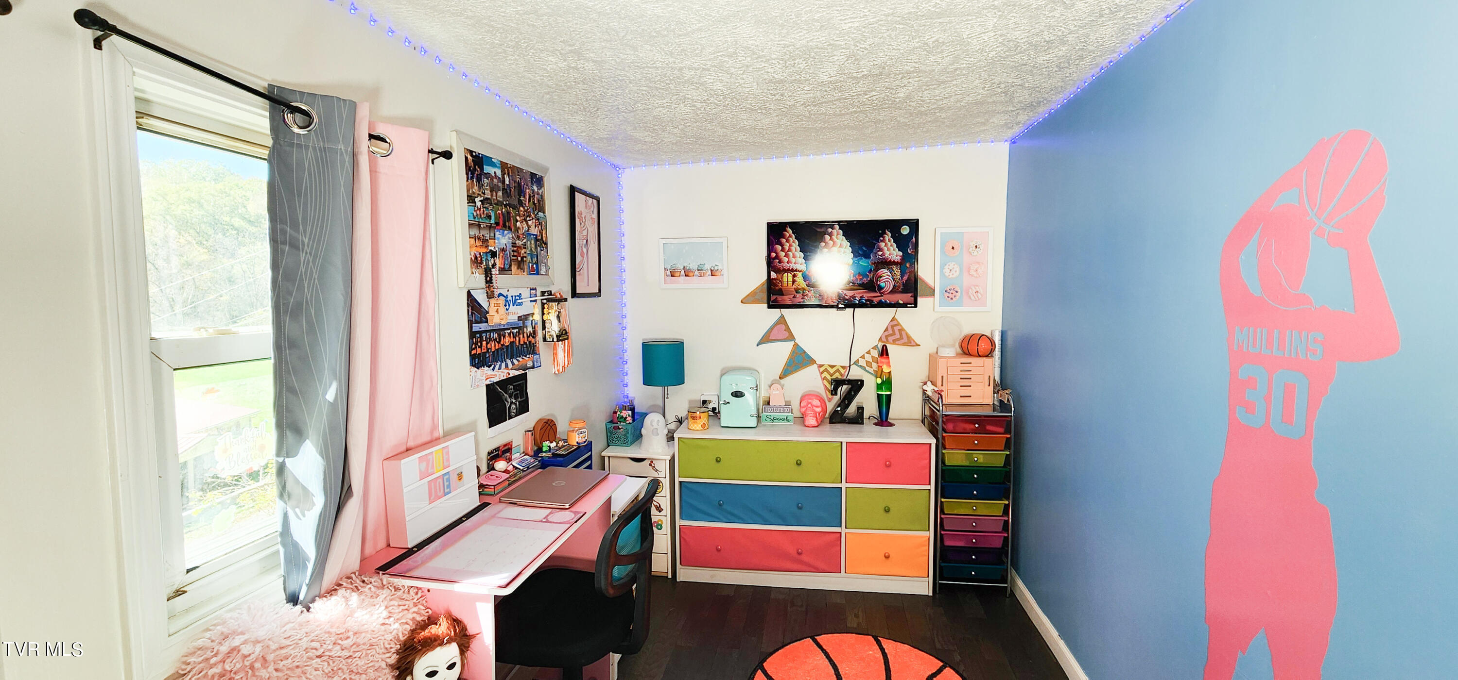 233 Reedy Road, Raven, Virginia image 21