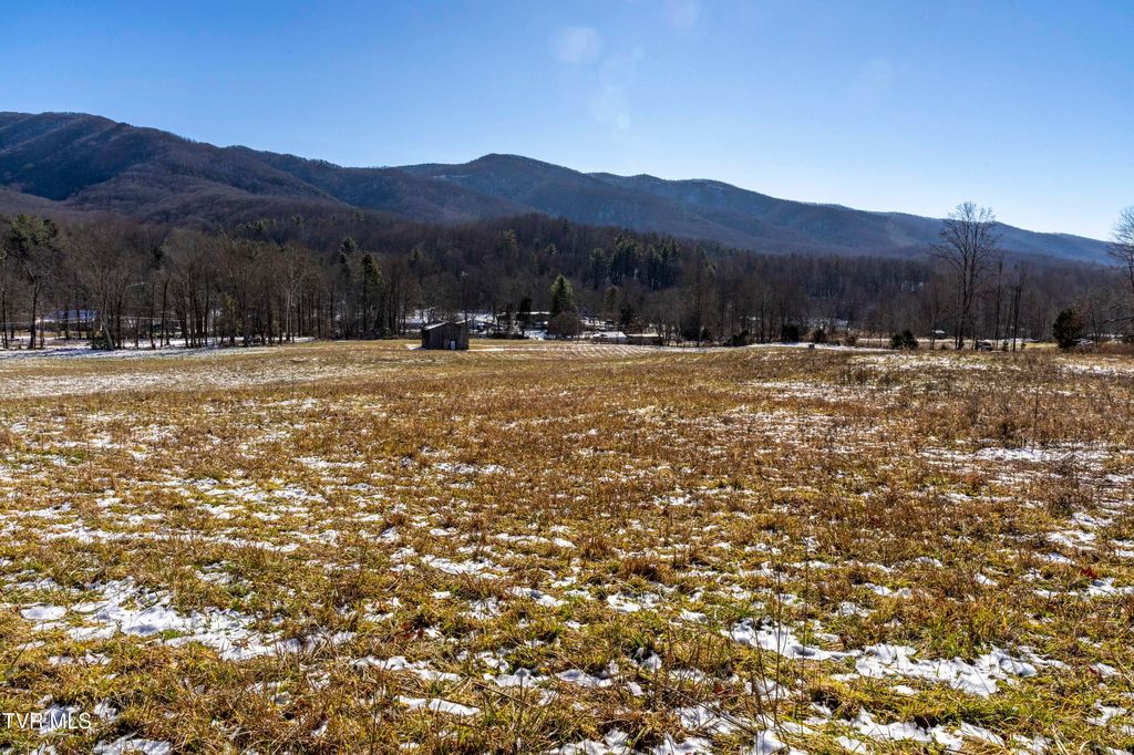 Photo of 3039 Hwy 91, Elizabethton, TN 37643 (MLS # 9989372)