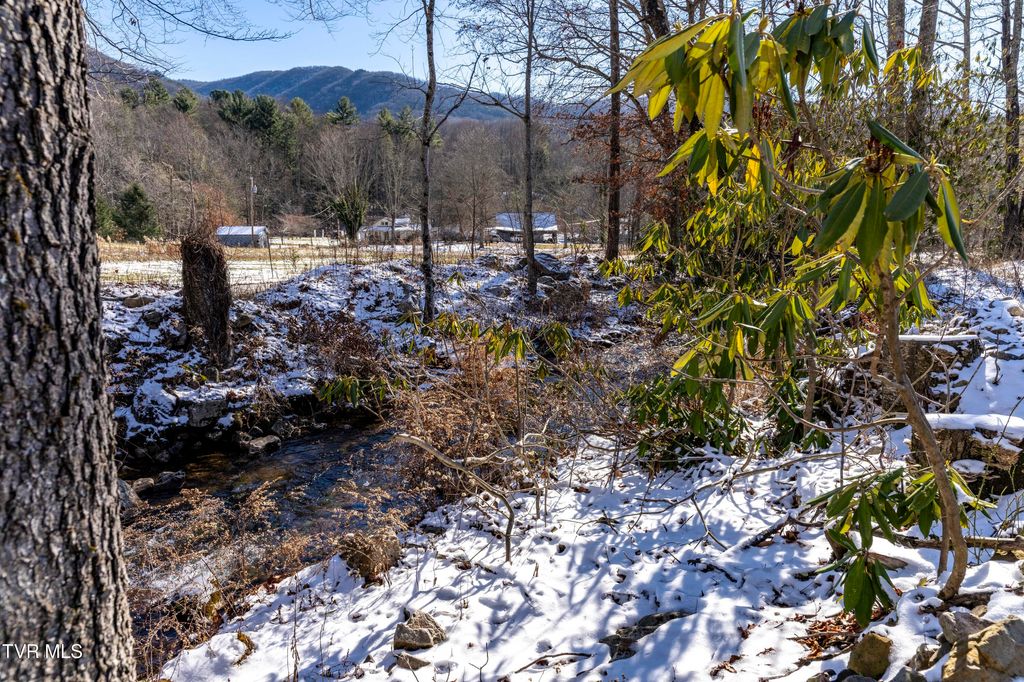 Photo of 3039 Hwy 91, Elizabethton, TN 37643 (MLS # 9989372)
