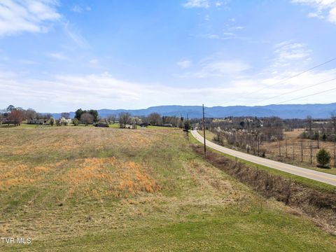 Vacant Land For Sale - LOT 19 Greenwood Road<br/> Afton, TN 37616