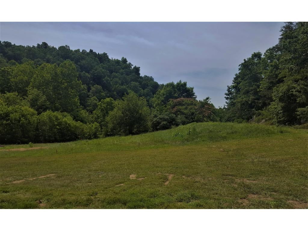 Photo 1 of 5 — TBD Morrison Road, Meadowview, VA 24361