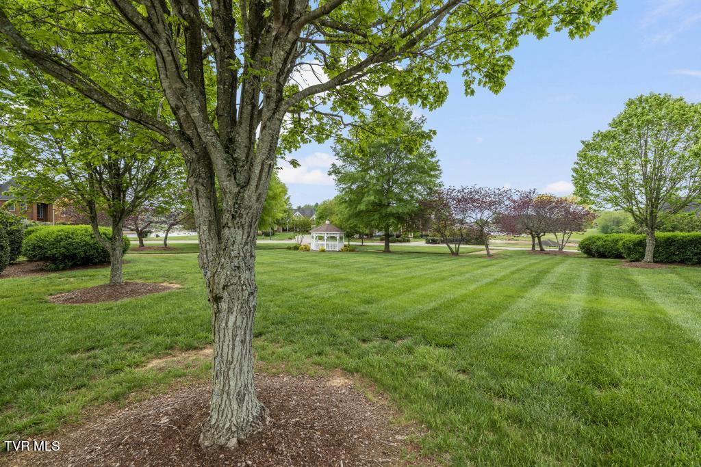 221 Forest Lane, Blountville, Tennessee image 33