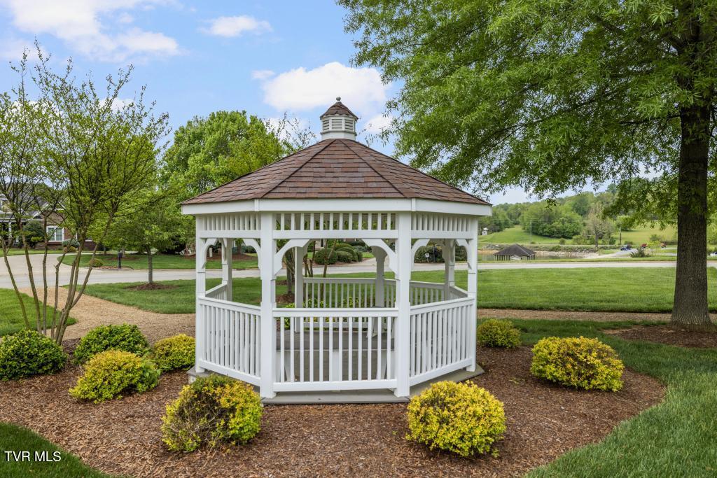 221 Forest Lane, Blountville, Tennessee image 34