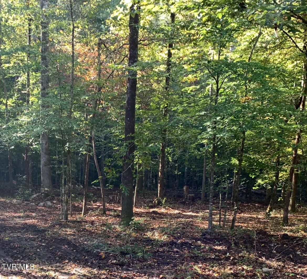 1380 Millers Cove Road, Walland, Tennessee image 7