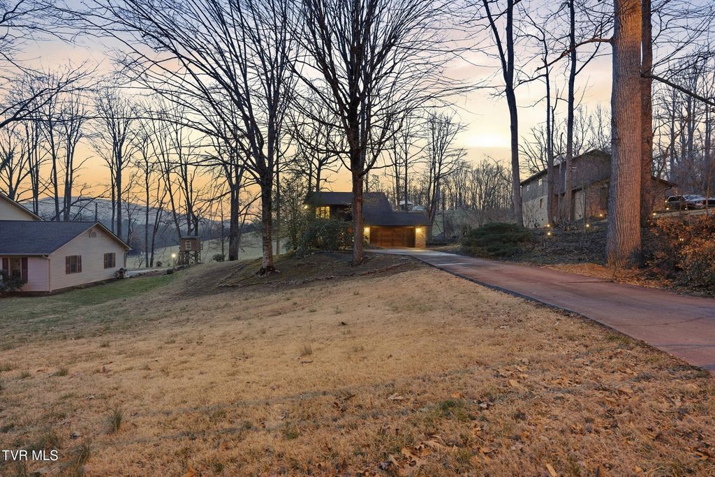 Photo of 166 Heather Lane, Johnson City, TN 37601 (MLS # 9991591)