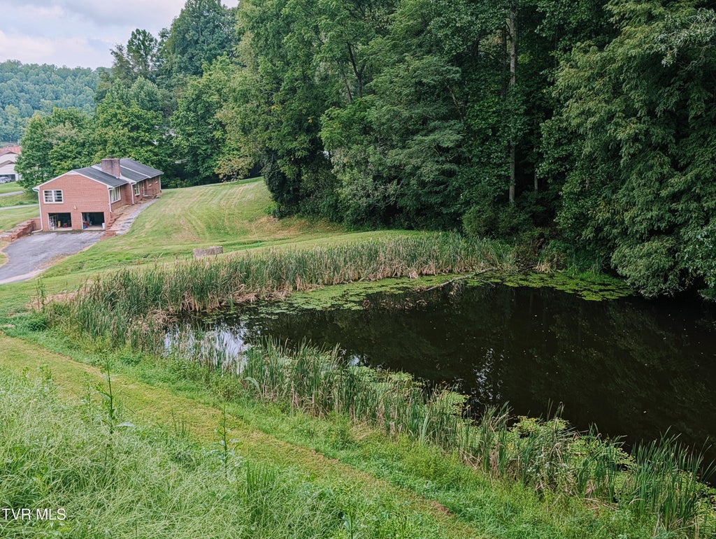 Photo of 217 Market Street, Clintwood, VA 24228 (MLS # 10000582)