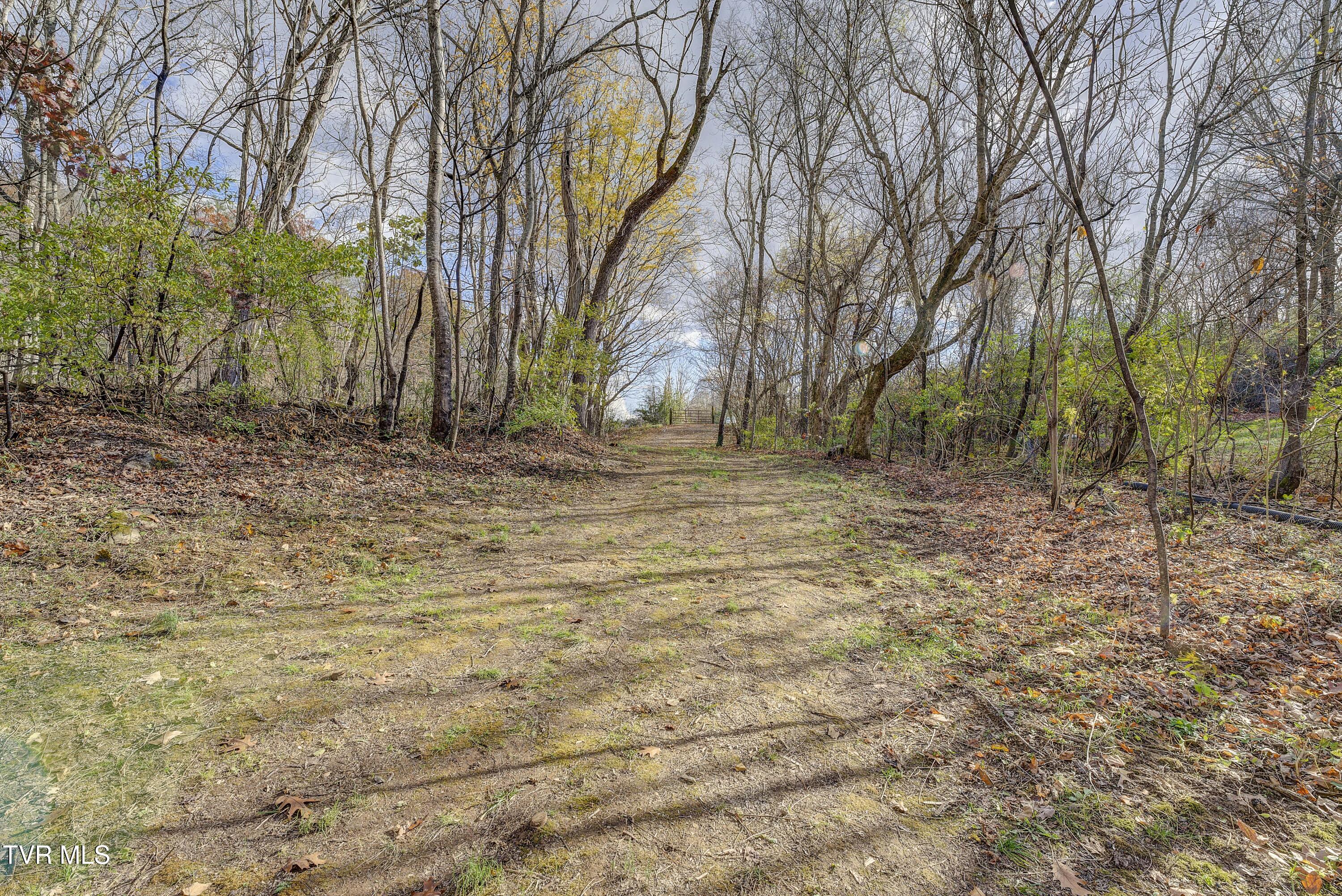 -- Asheville Hwy./ 25 Greenfield Street, Greeneville, Tennessee image 14