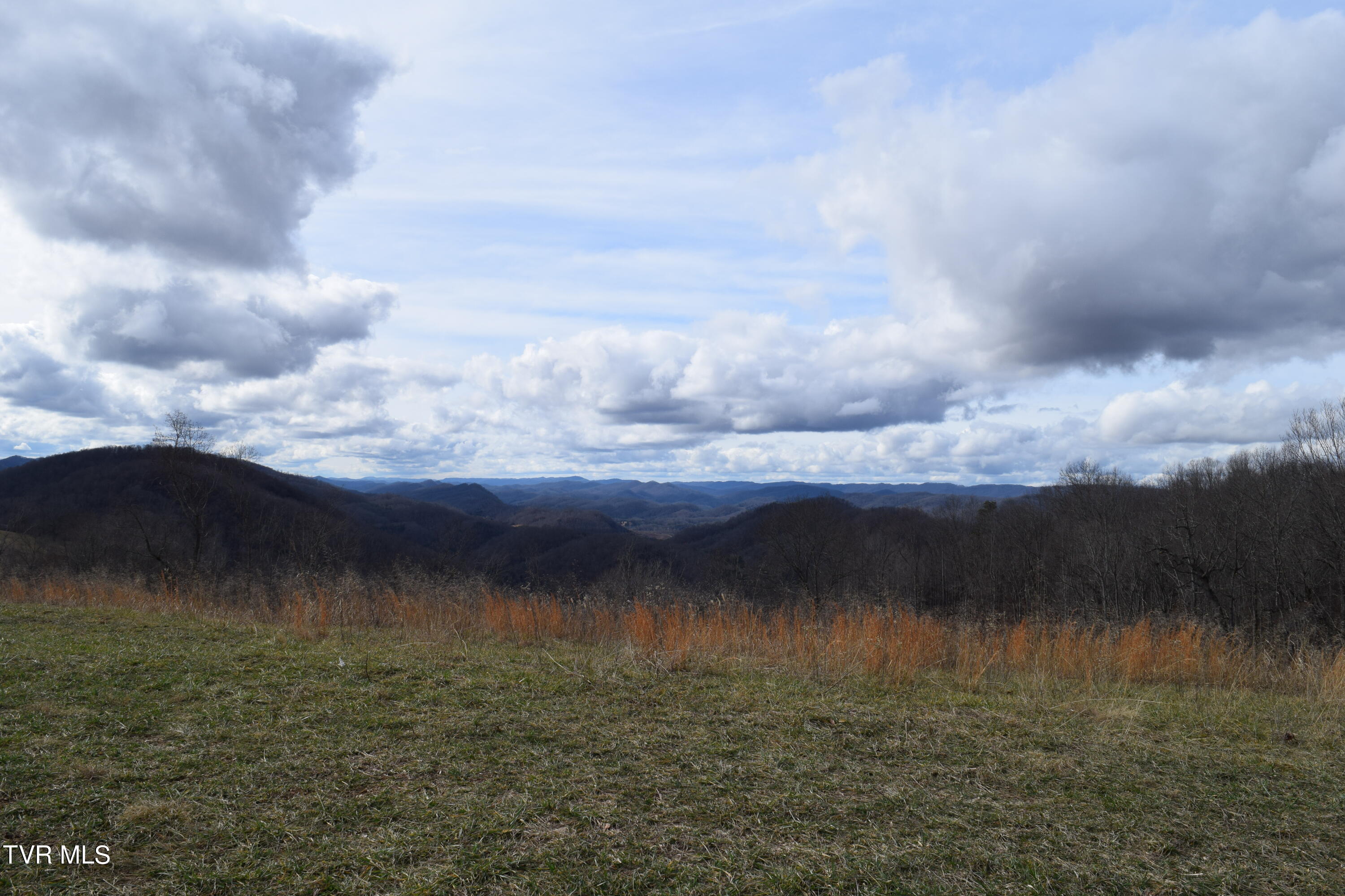 Big Springs Road, Eidson, Tennessee image 12