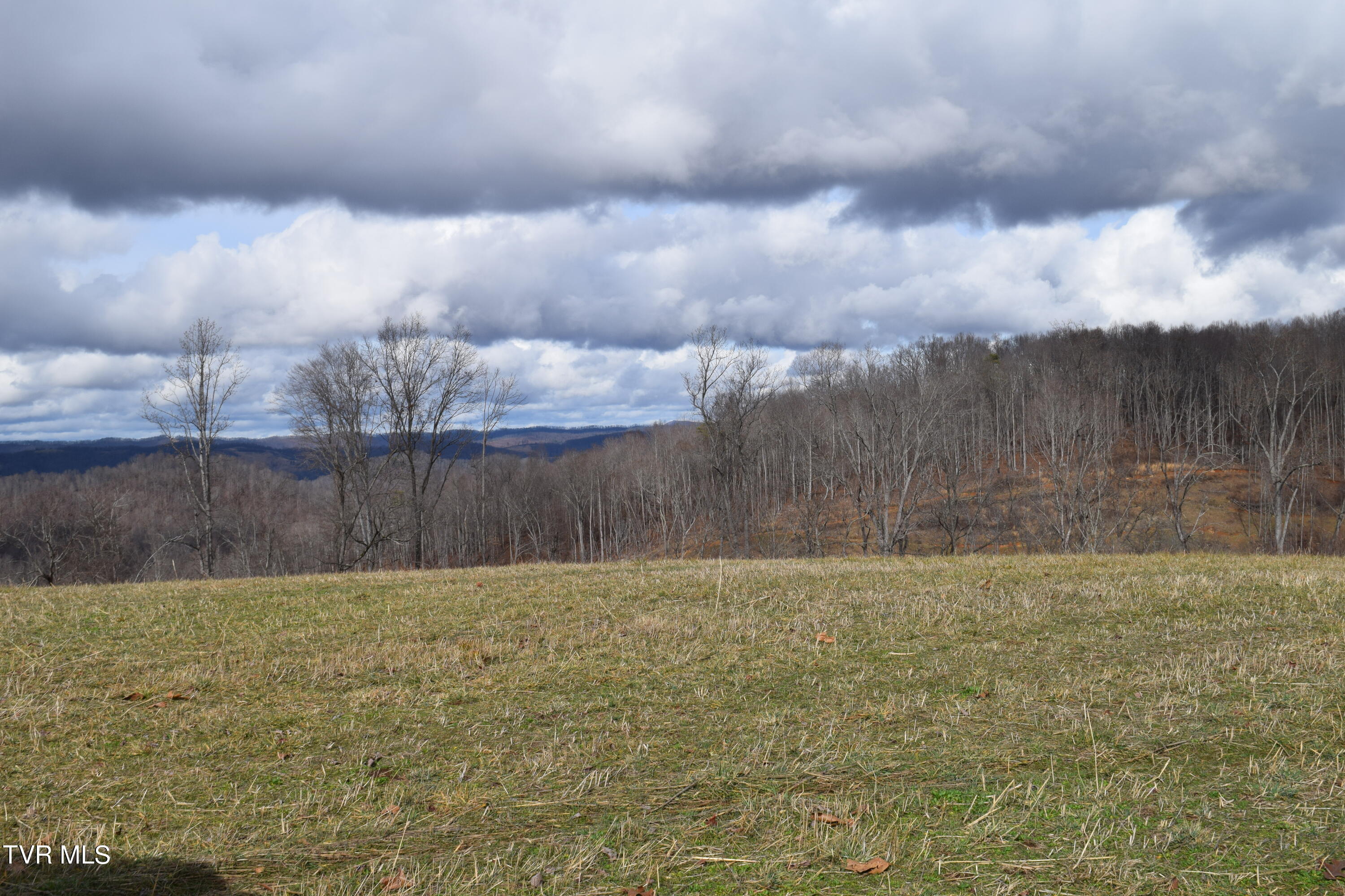 Big Springs Road, Eidson, Tennessee image 9