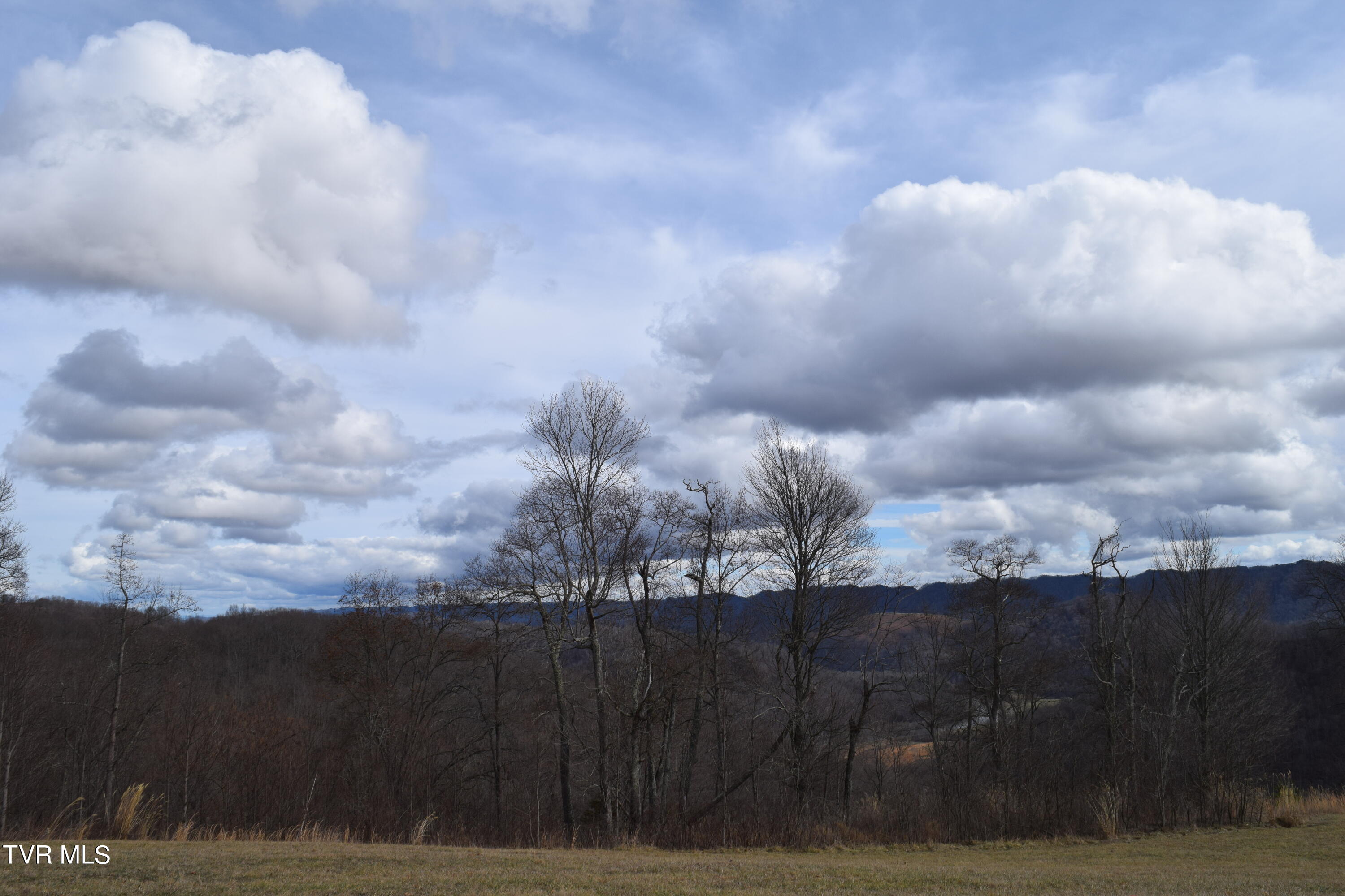 Big Springs Road, Eidson, Tennessee image 25