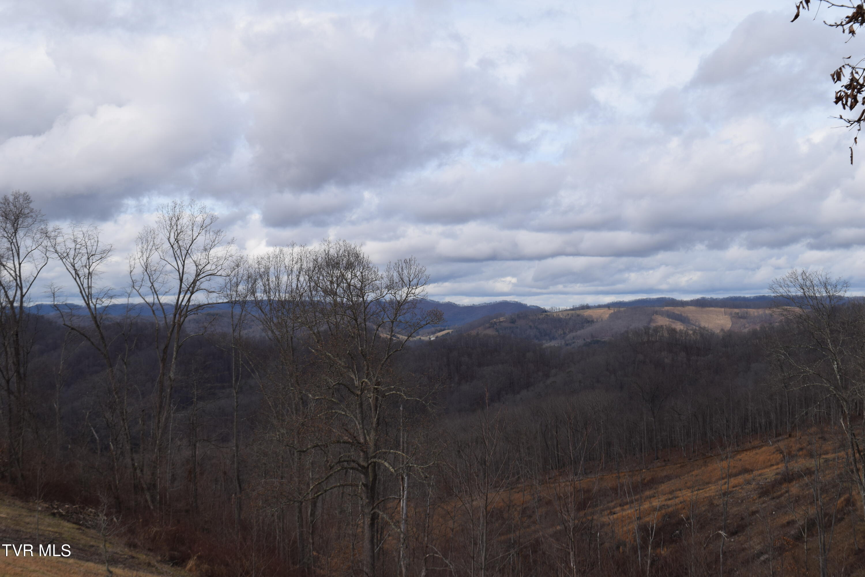 Big Springs Road, Eidson, Tennessee image 6