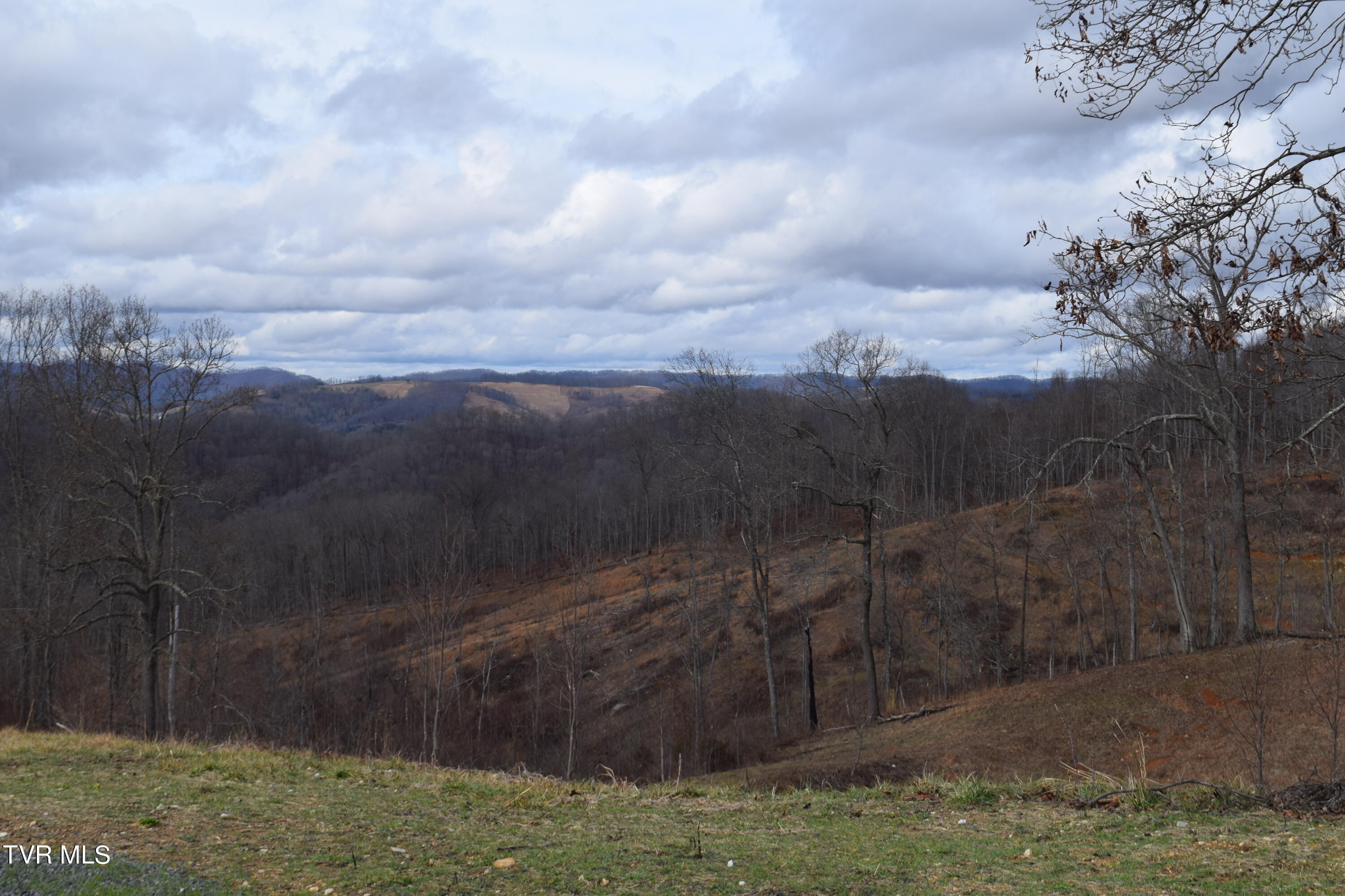Big Springs Road, Eidson, Tennessee image 3
