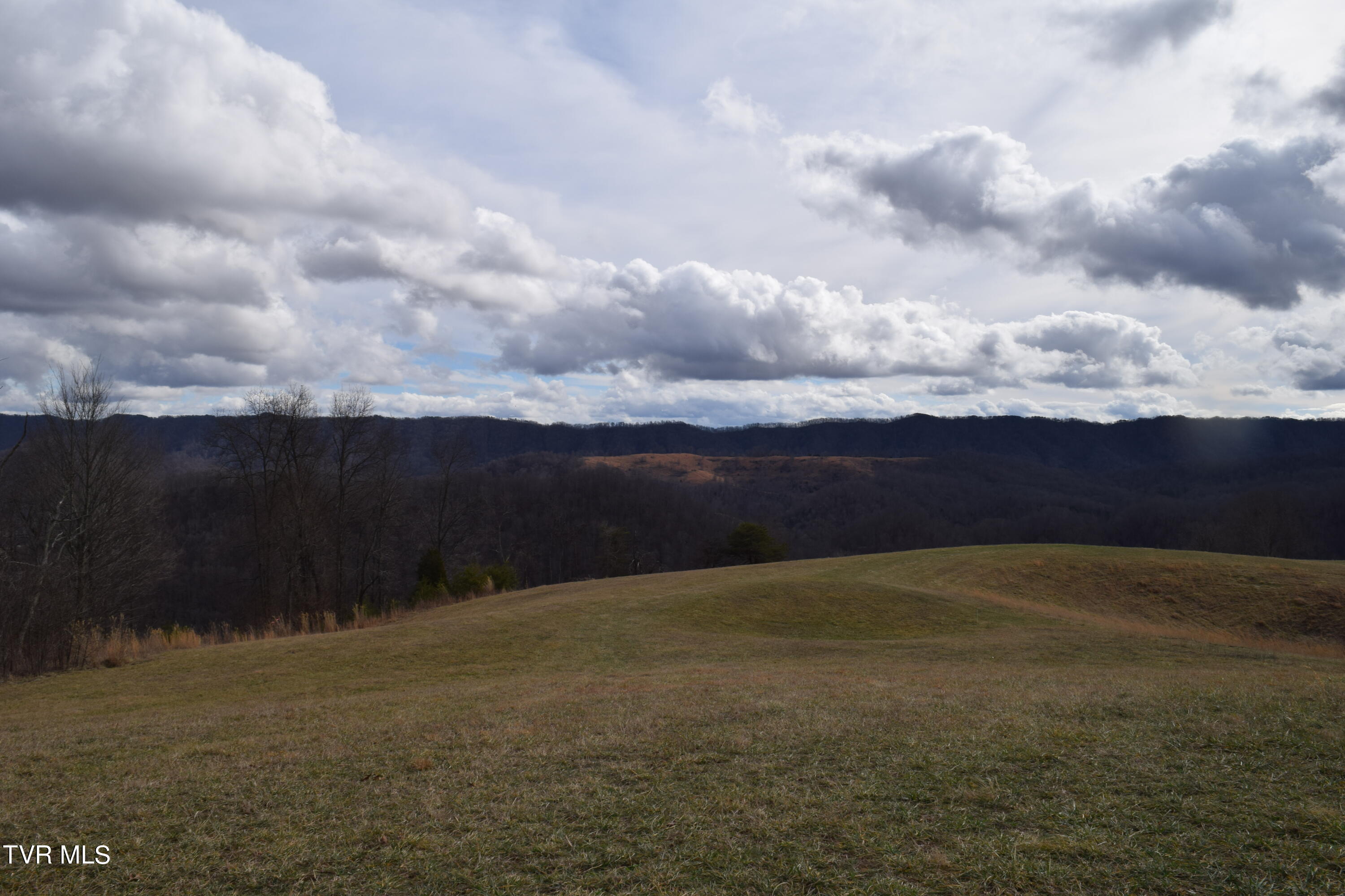 Big Springs Road, Eidson, Tennessee image 13