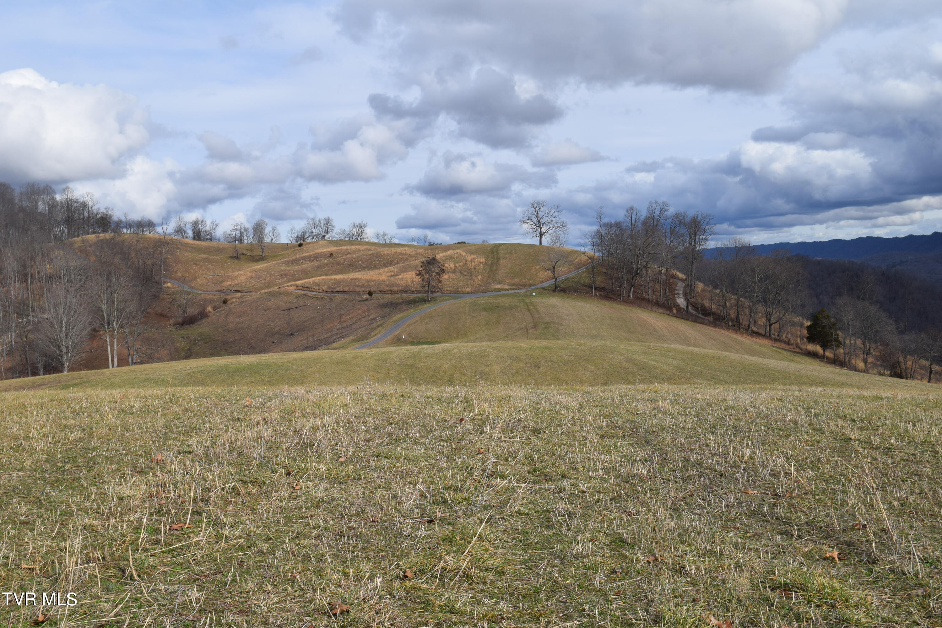 Big Springs Road, Eidson, Tennessee image 22