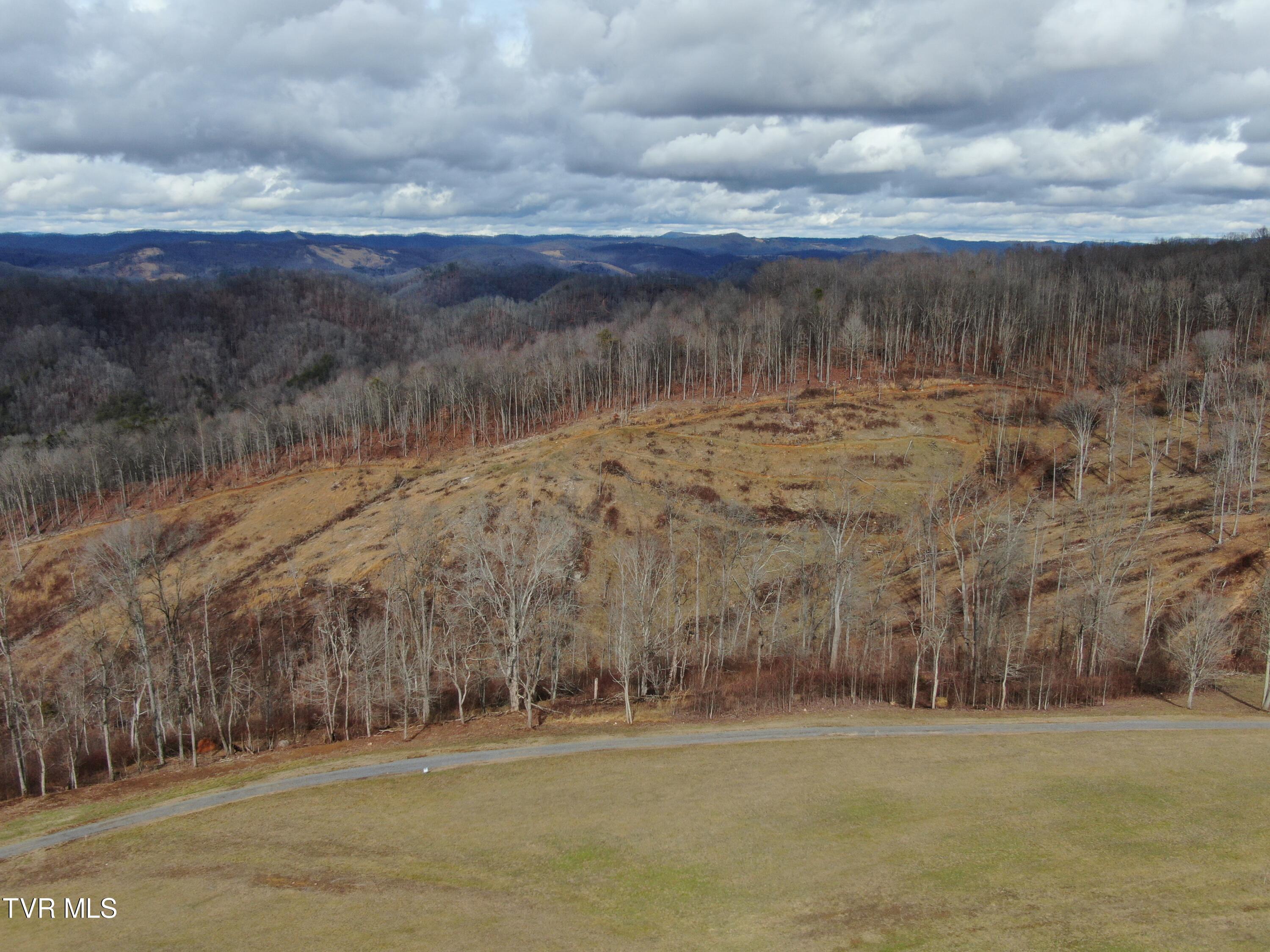 Big Springs Road, Eidson, Tennessee image 42