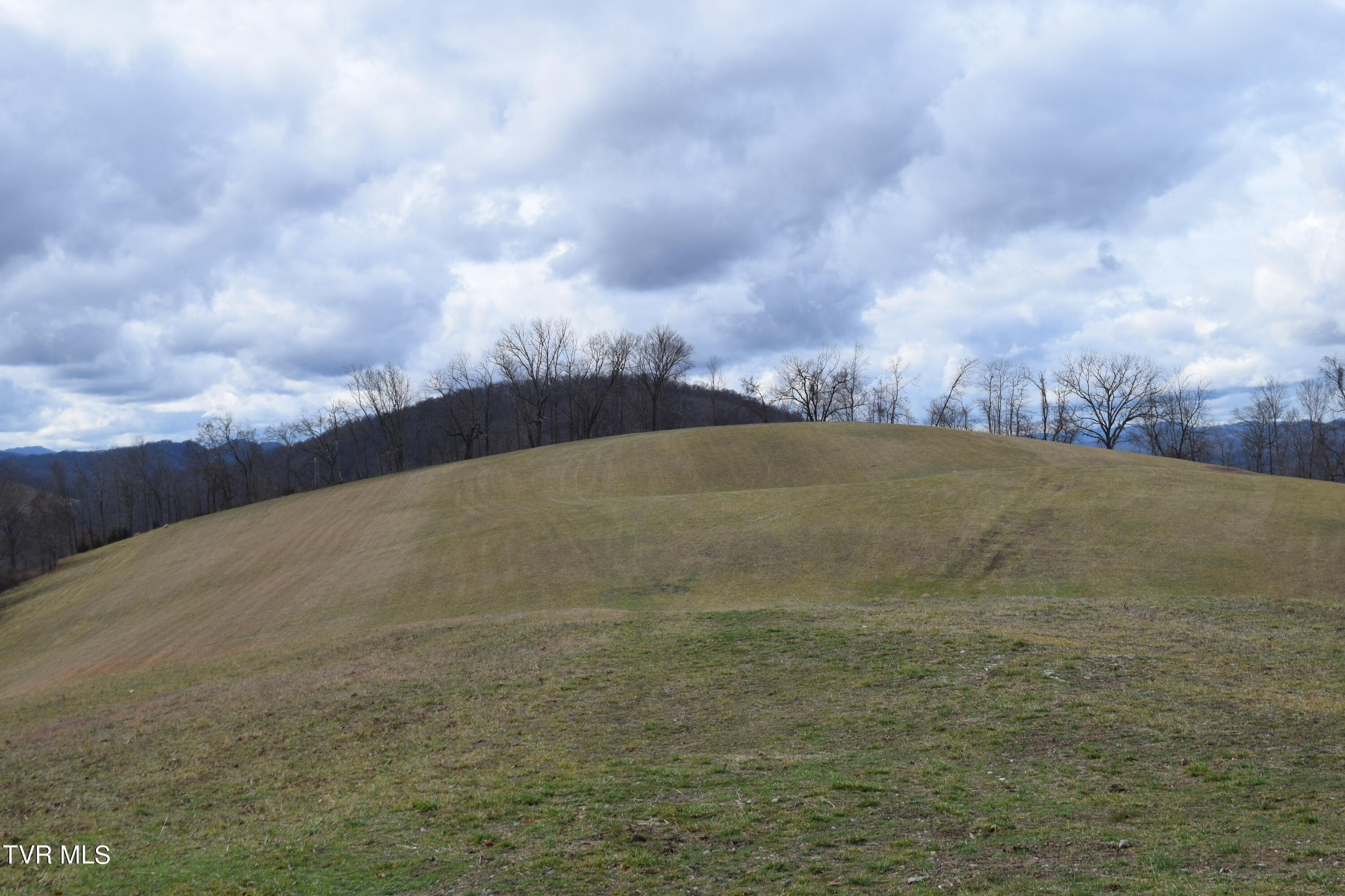 Big Springs Road, Eidson, Tennessee image 7