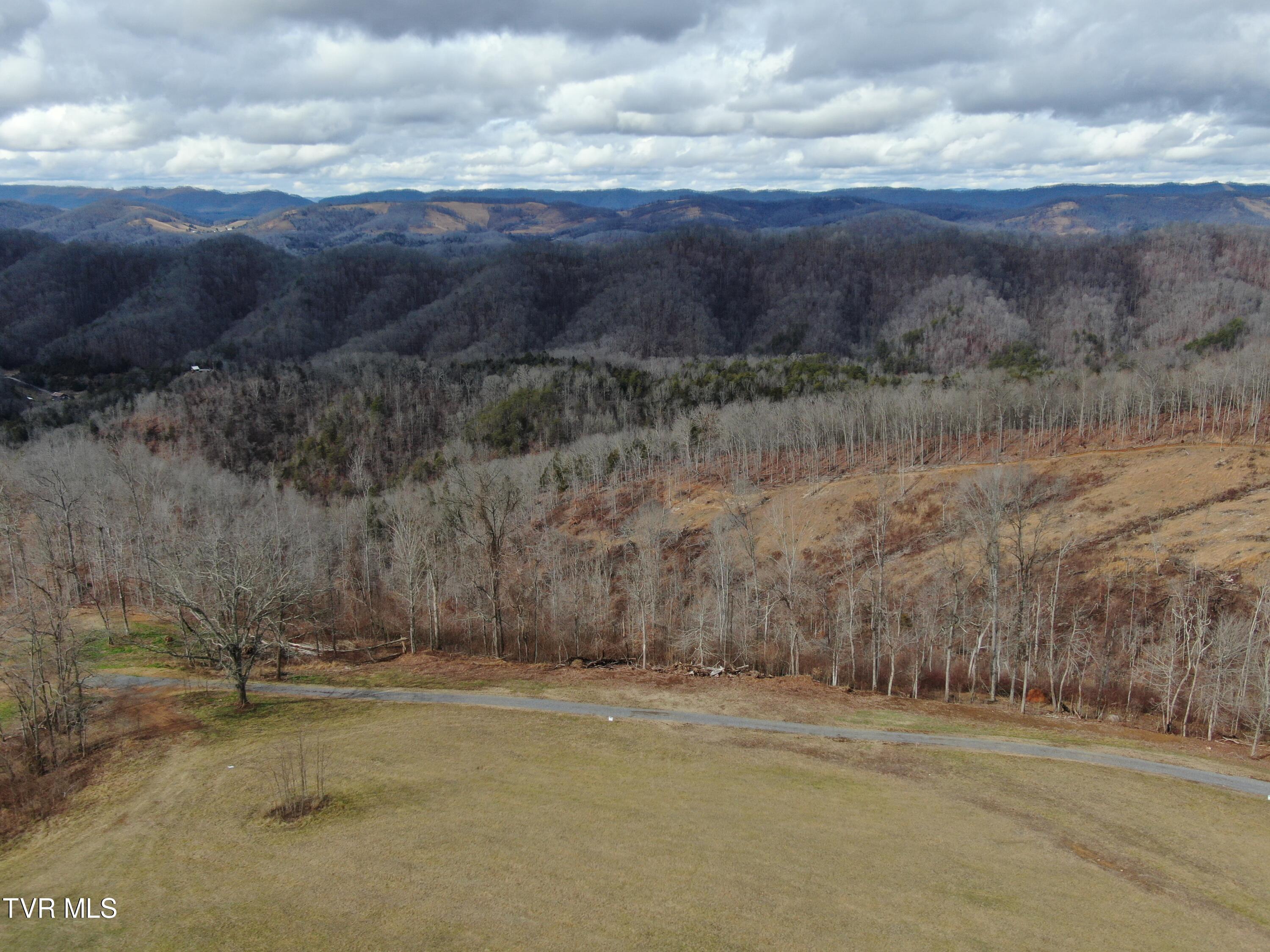 Big Springs Road, Eidson, Tennessee image 28