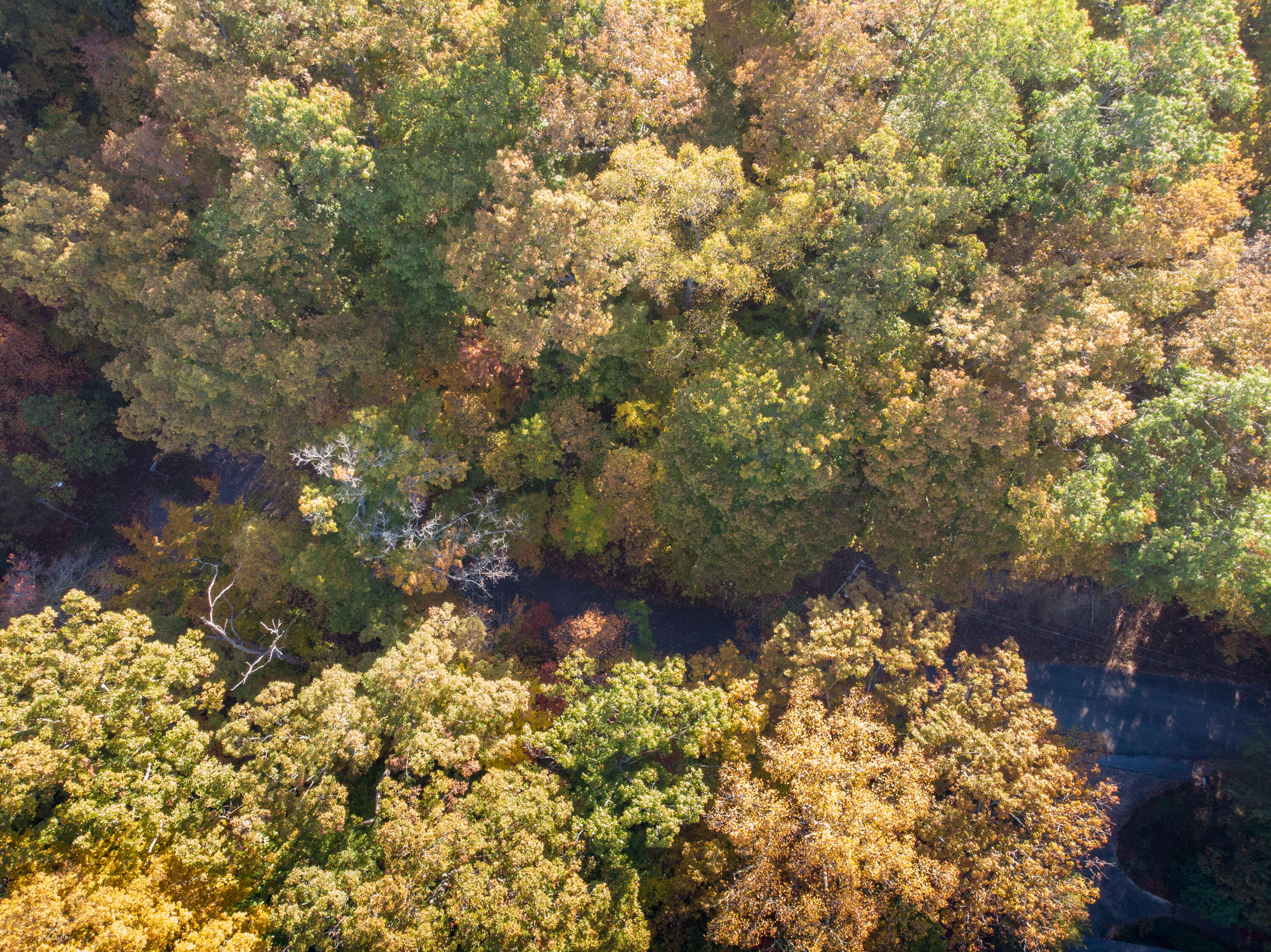 Lot 13 Skyline Drive, Bristol, Tennessee image 4