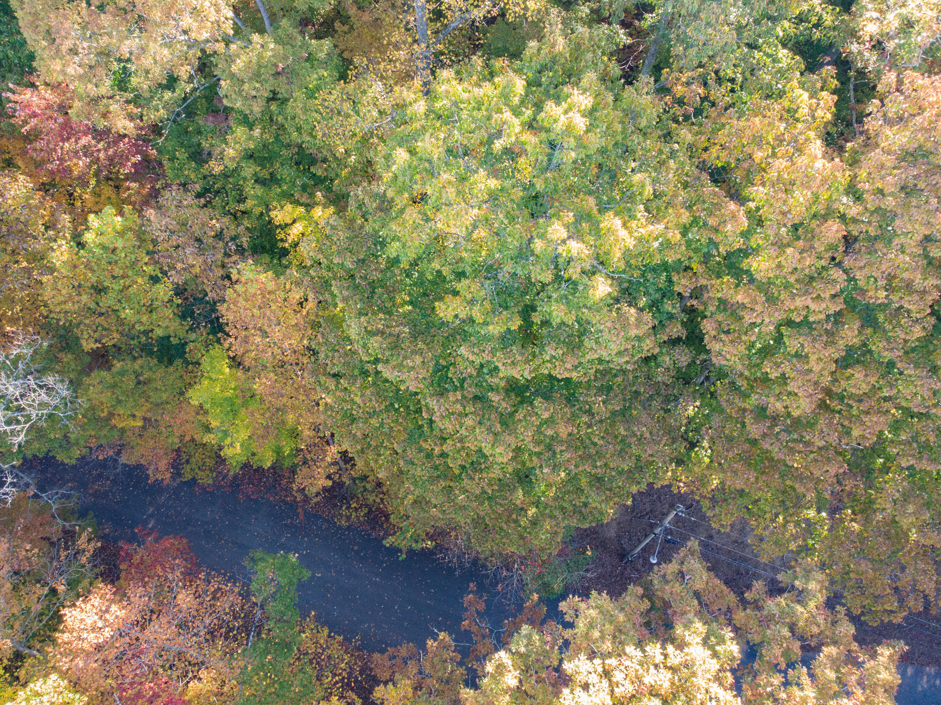 Lot 13 Skyline Drive, Bristol, Tennessee image 8