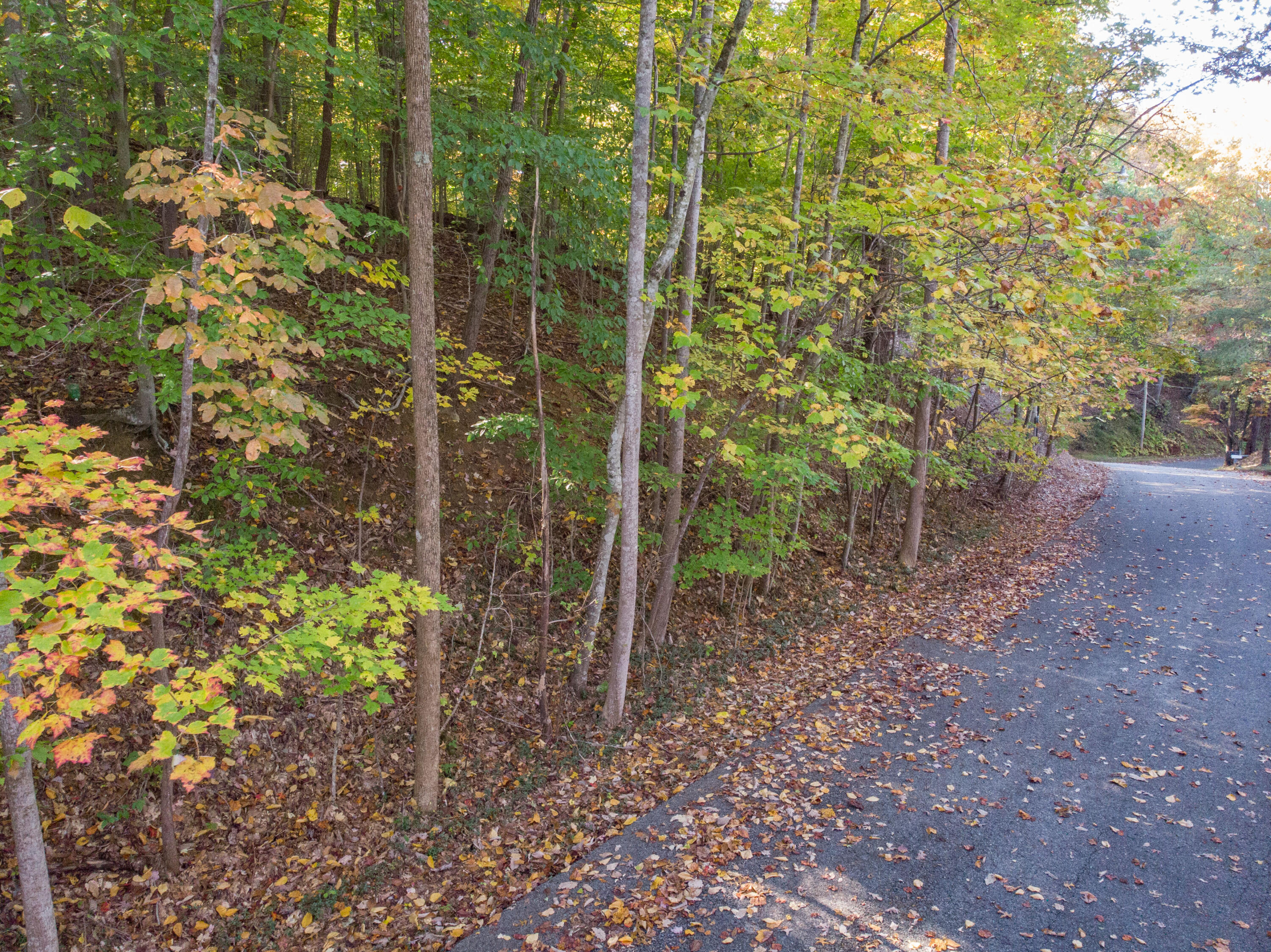 Lot 13 Skyline Drive, Bristol, Tennessee image 10