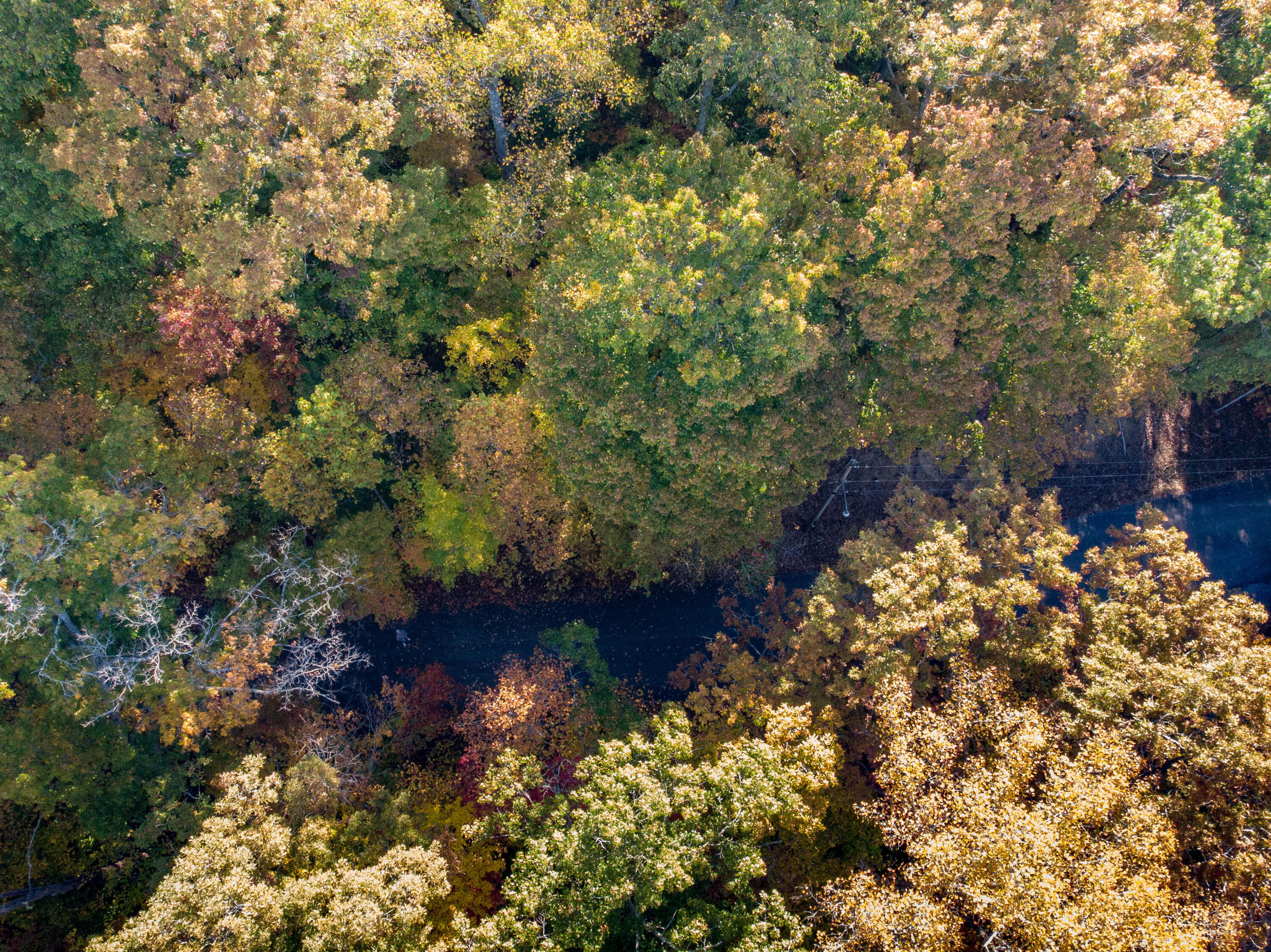 Lot 13 Skyline Drive, Bristol, Tennessee image 6