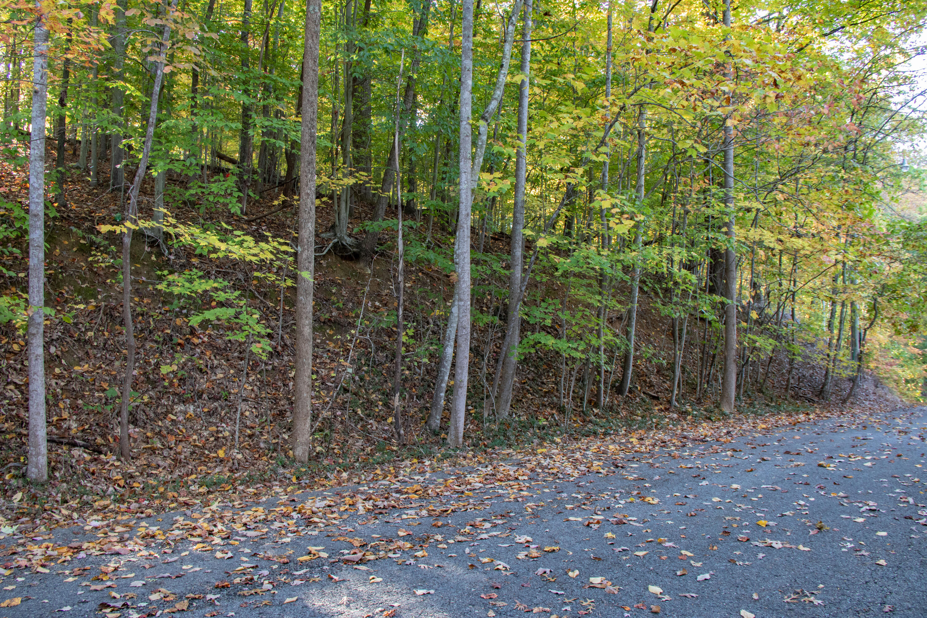 Lot 13 Skyline Drive, Bristol, Tennessee image 1