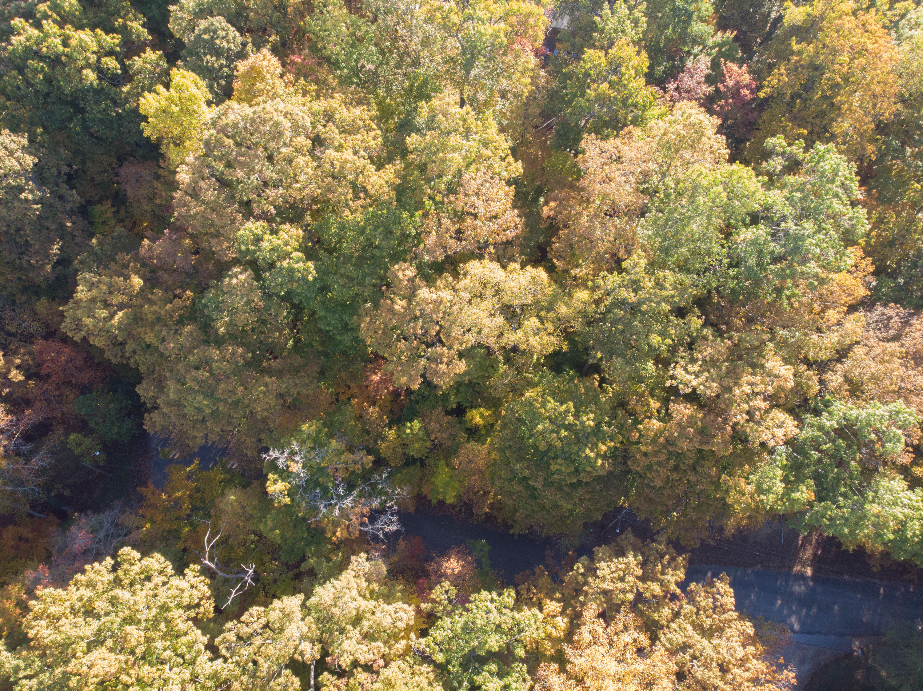Lot 13 Skyline Drive, Bristol, Tennessee image 5