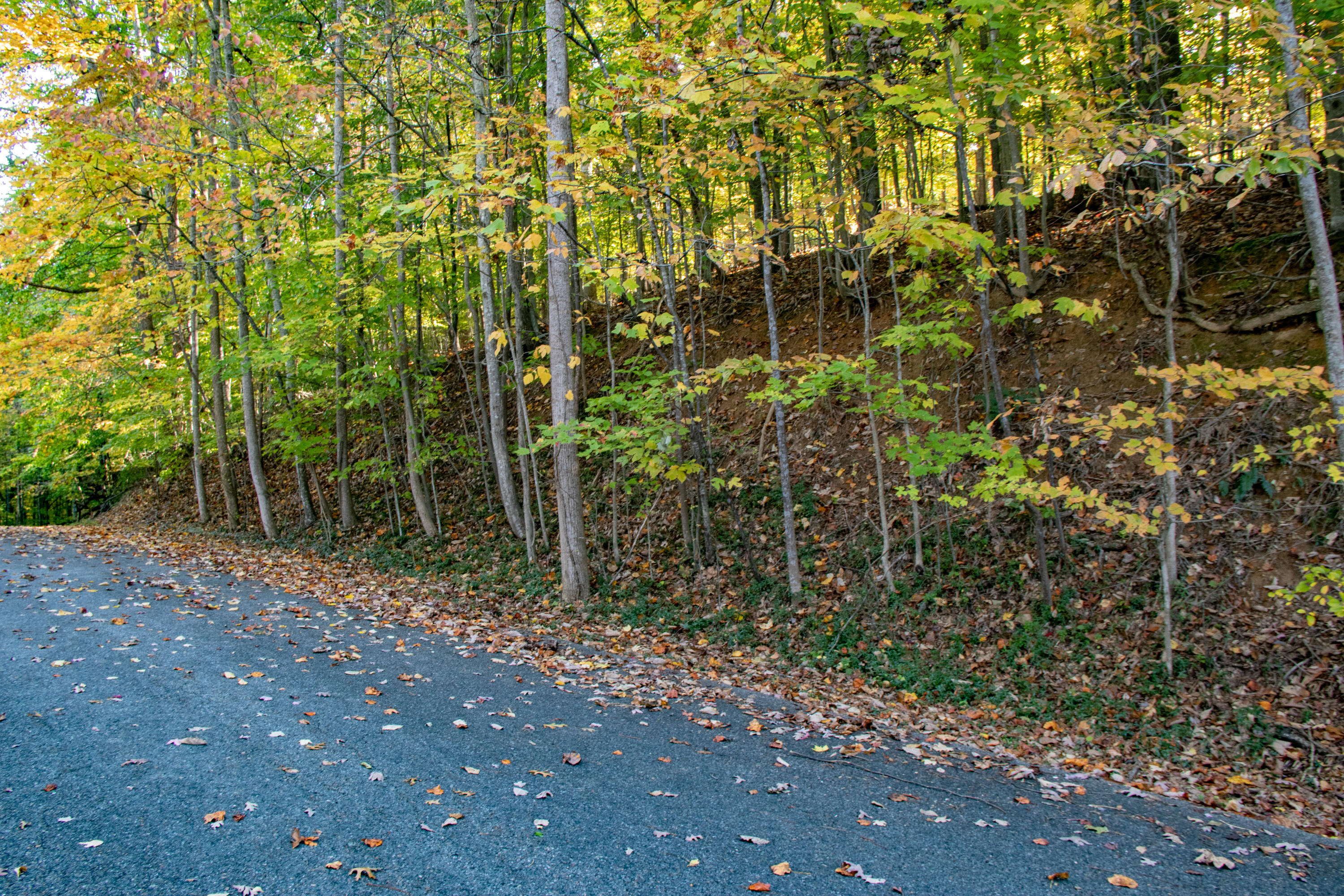 Lot 13 Skyline Drive, Bristol, Tennessee image 2