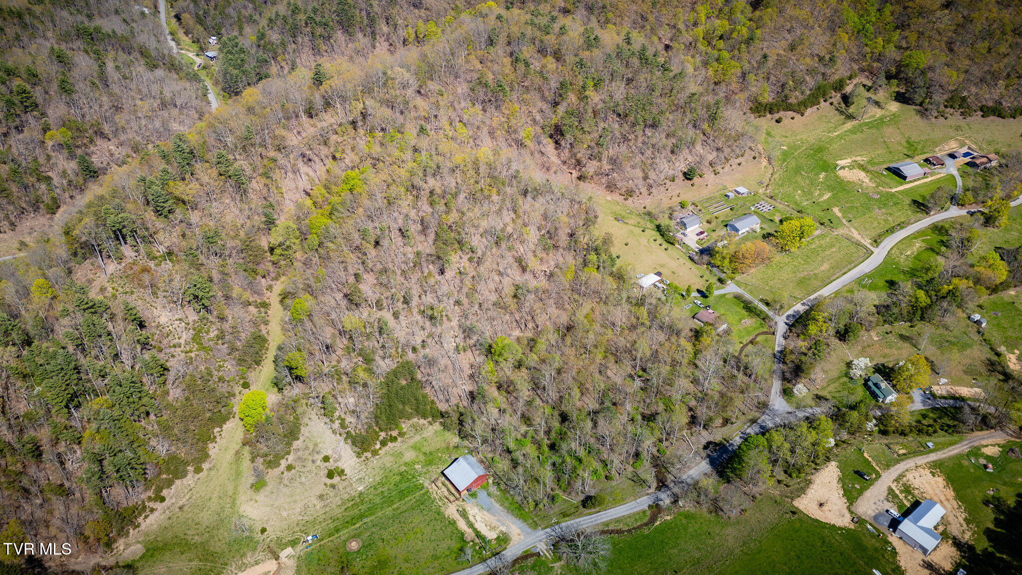 Tbd Morrell Creek Lane, Bluff City, Tennessee image 9