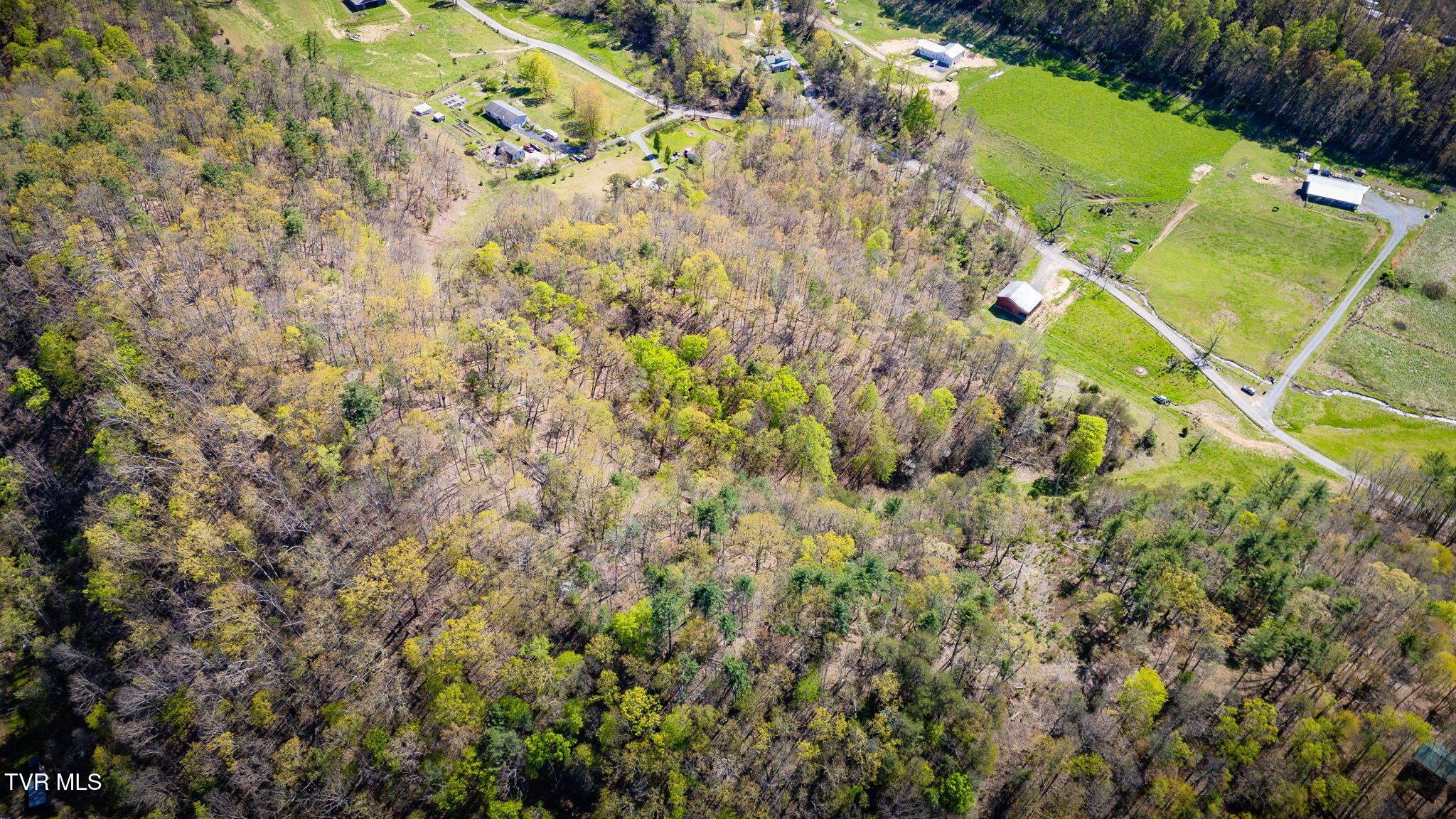 Tbd Morrell Creek Lane, Bluff City, Tennessee image 11