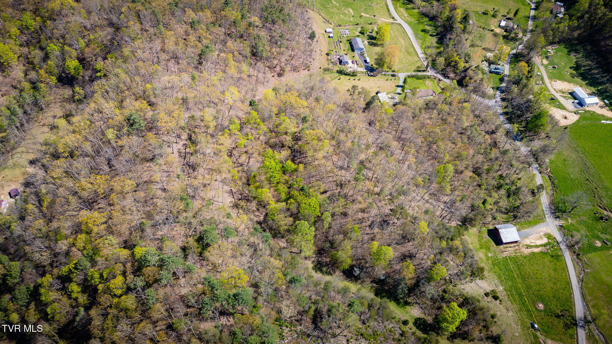 Tbd Morrell Creek Lane, Bluff City, Tennessee image 10