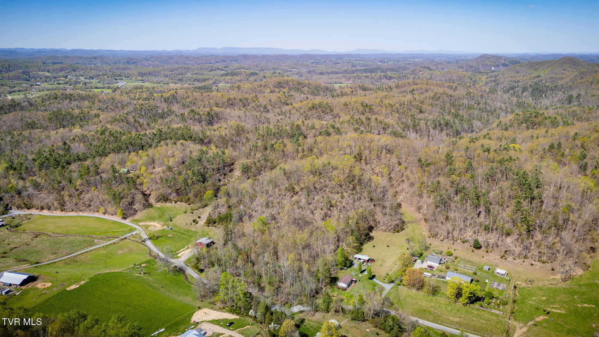 Tbd Morrell Creek Lane, Bluff City, Tennessee image 15