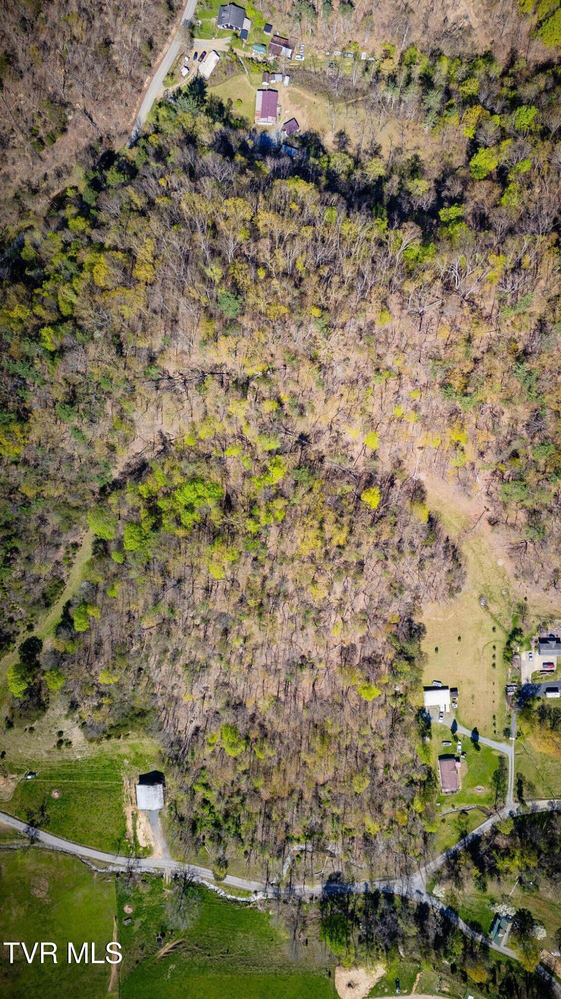Tbd Morrell Creek Lane, Bluff City, Tennessee image 6