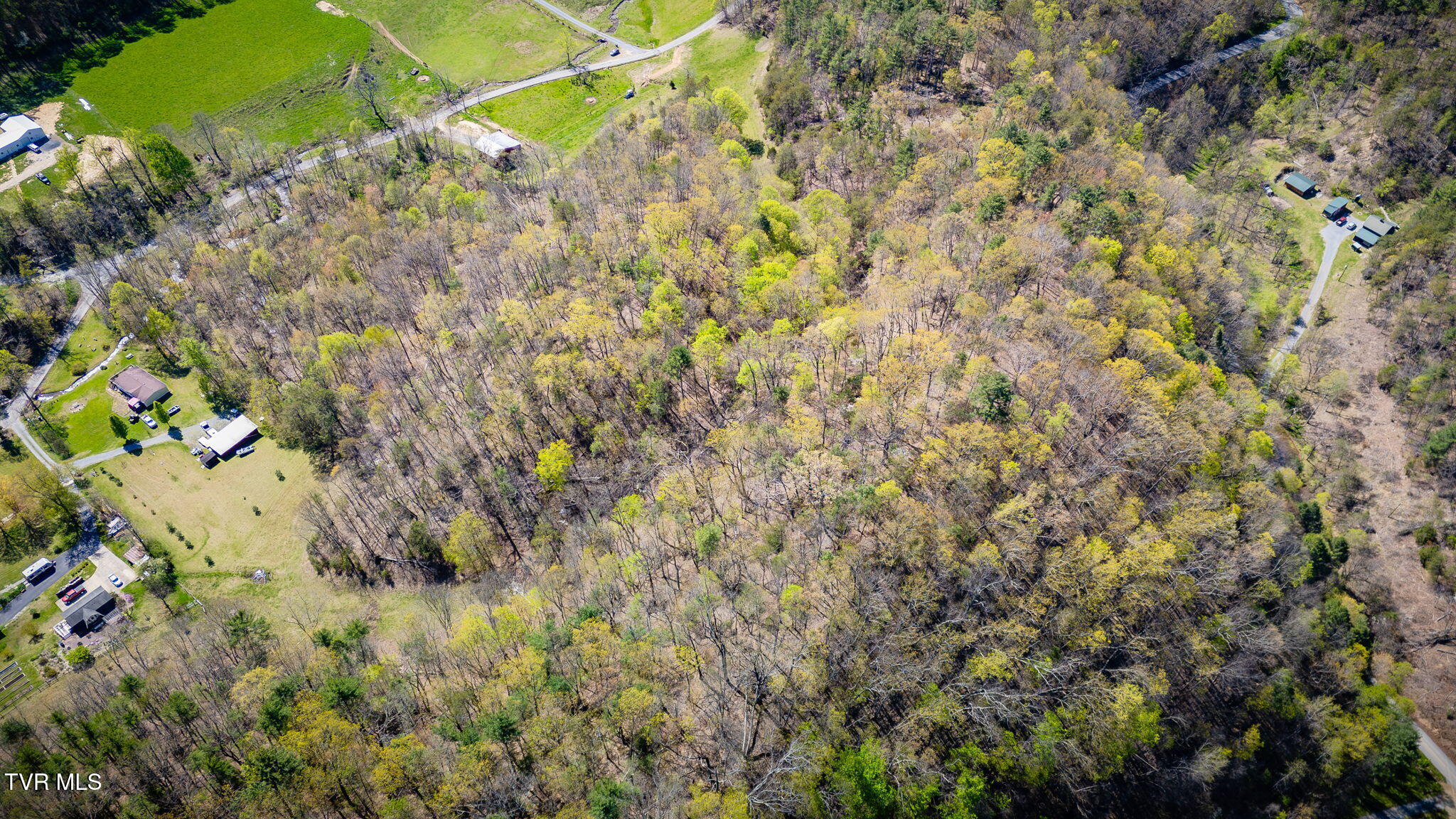 Tbd Morrell Creek Lane, Bluff City, Tennessee image 13