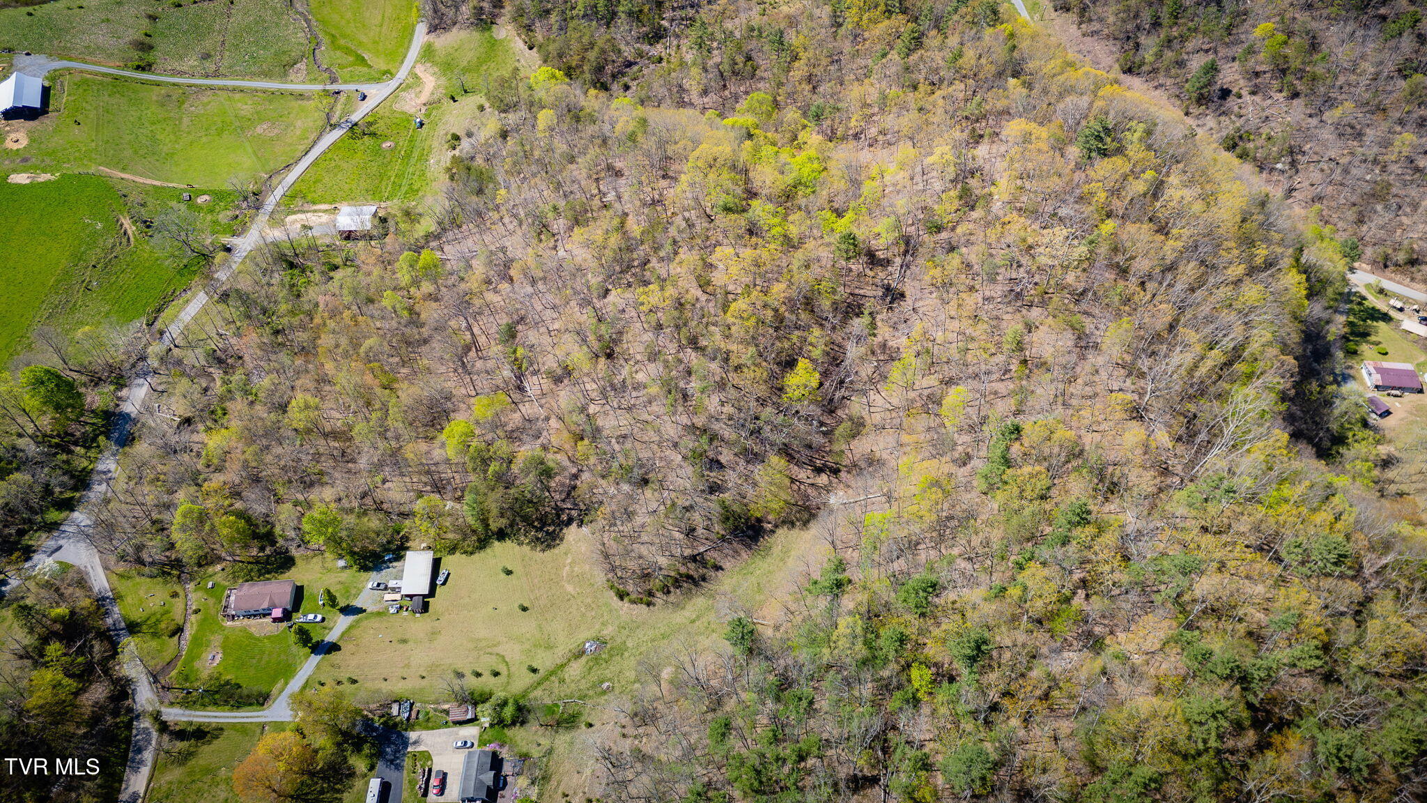 Tbd Morrell Creek Lane, Bluff City, Tennessee image 14