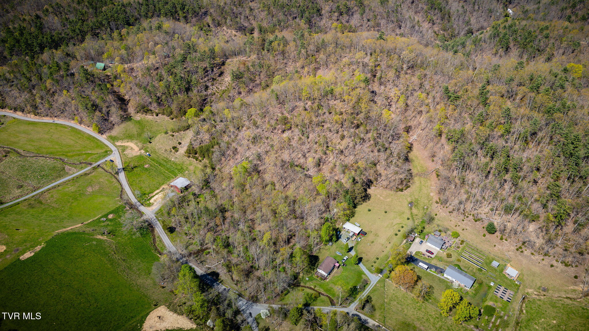 Tbd Morrell Creek Lane, Bluff City, Tennessee image 8