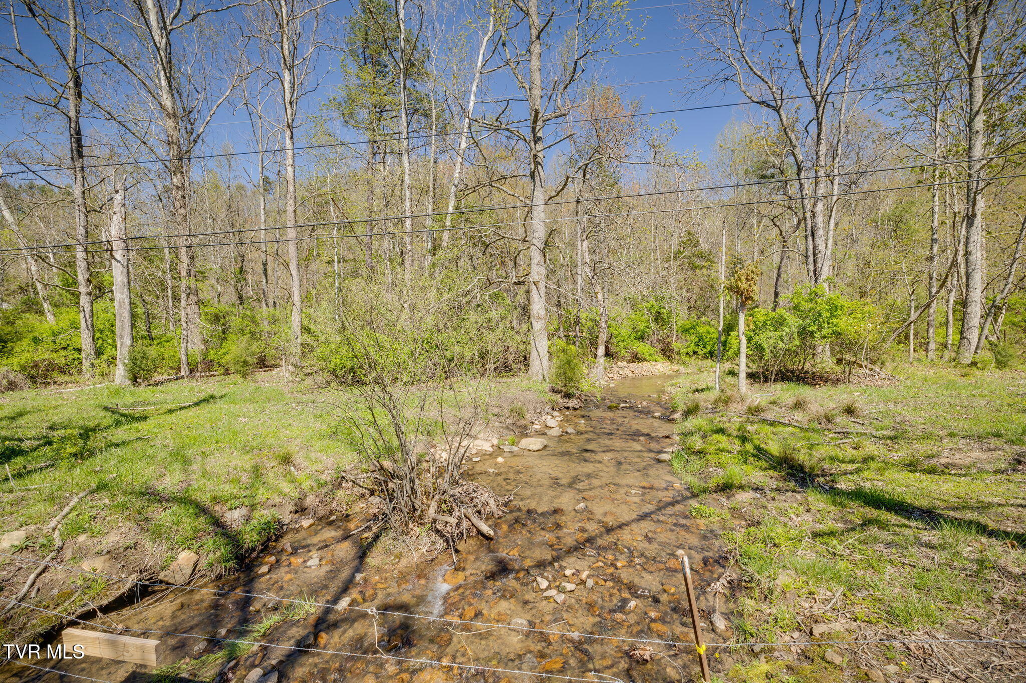 Tbd Morrell Creek Lane, Bluff City, Tennessee image 1