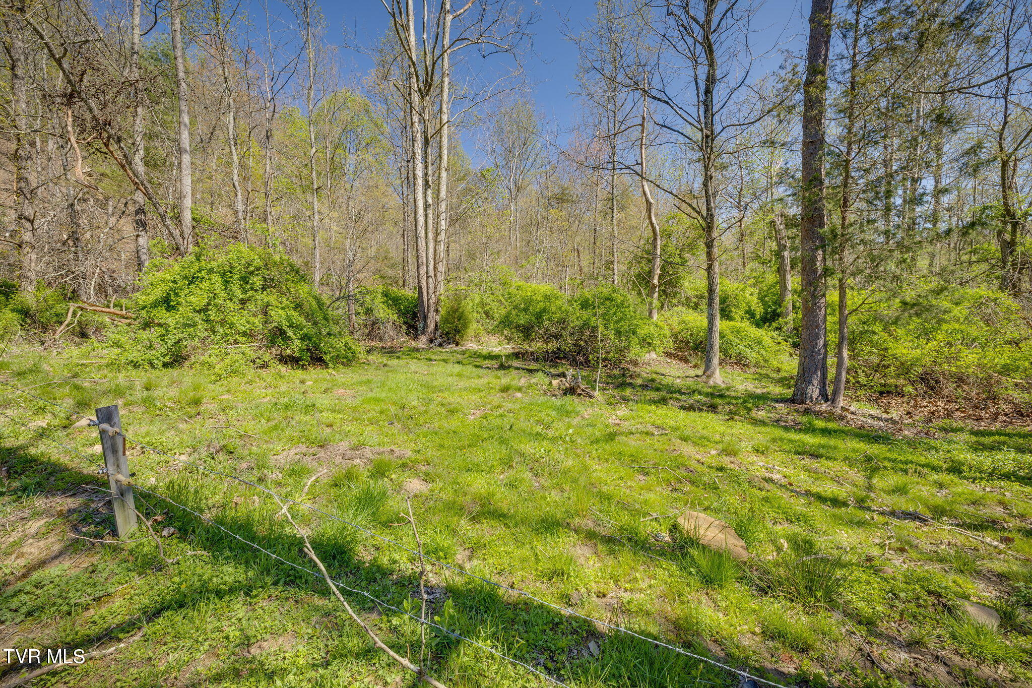 Tbd Morrell Creek Lane, Bluff City, Tennessee image 4