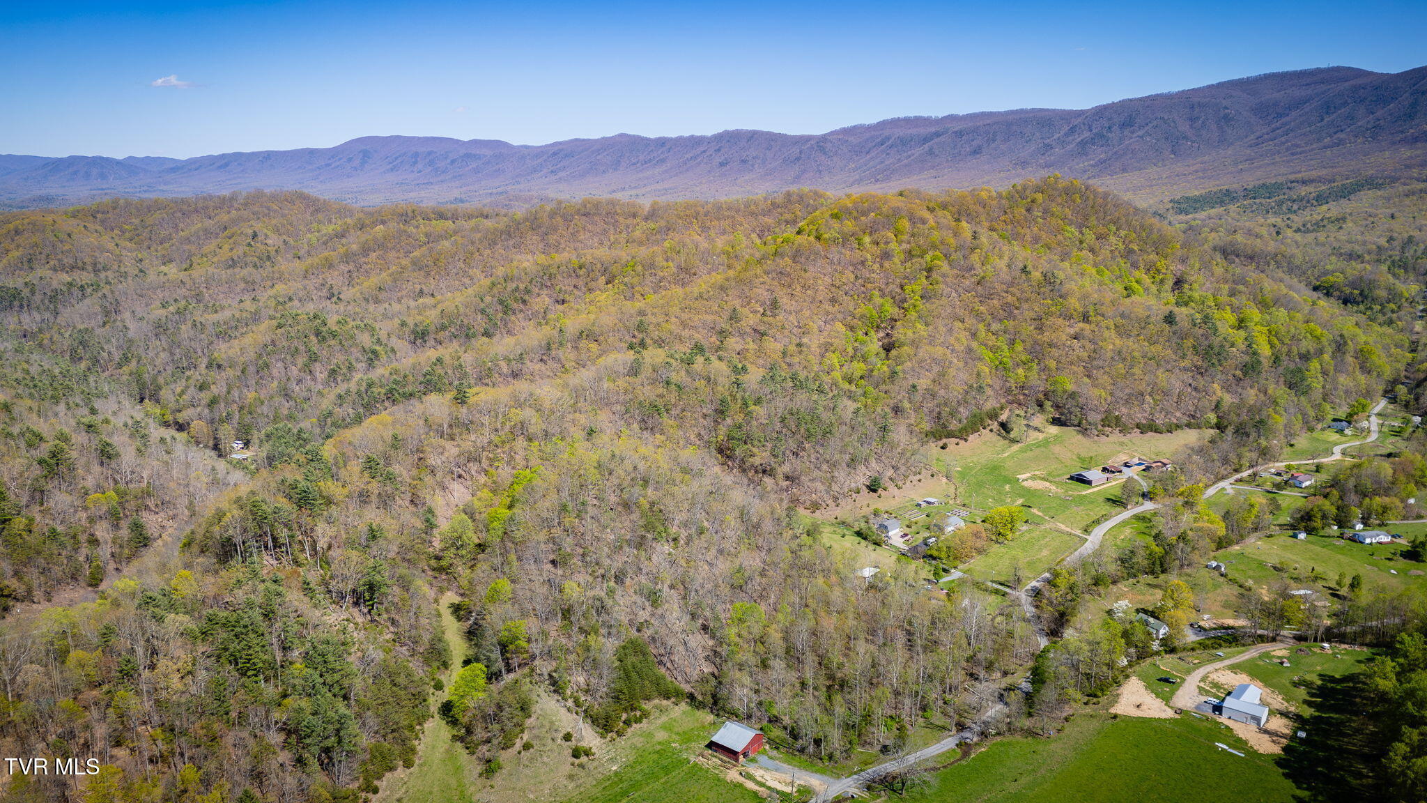Tbd Morrell Creek Lane, Bluff City, Tennessee image 16