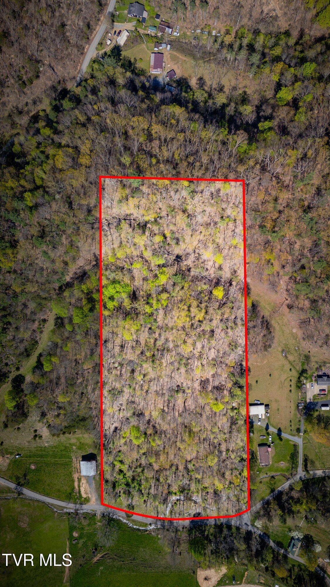 Tbd Morrell Creek Lane, Bluff City, Tennessee image 5