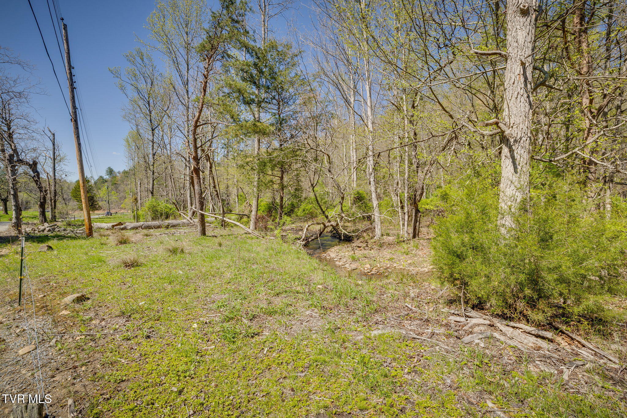 Tbd Morrell Creek Lane, Bluff City, Tennessee image 3