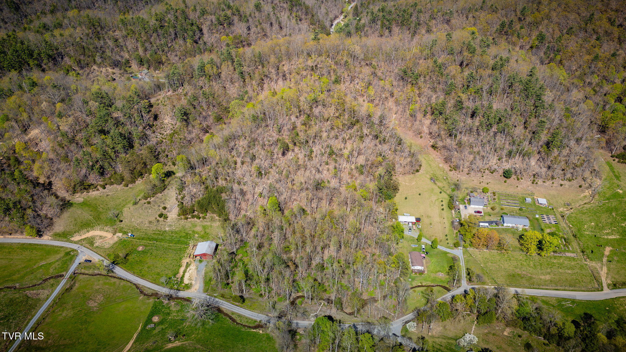 Tbd Morrell Creek Lane, Bluff City, Tennessee image 7