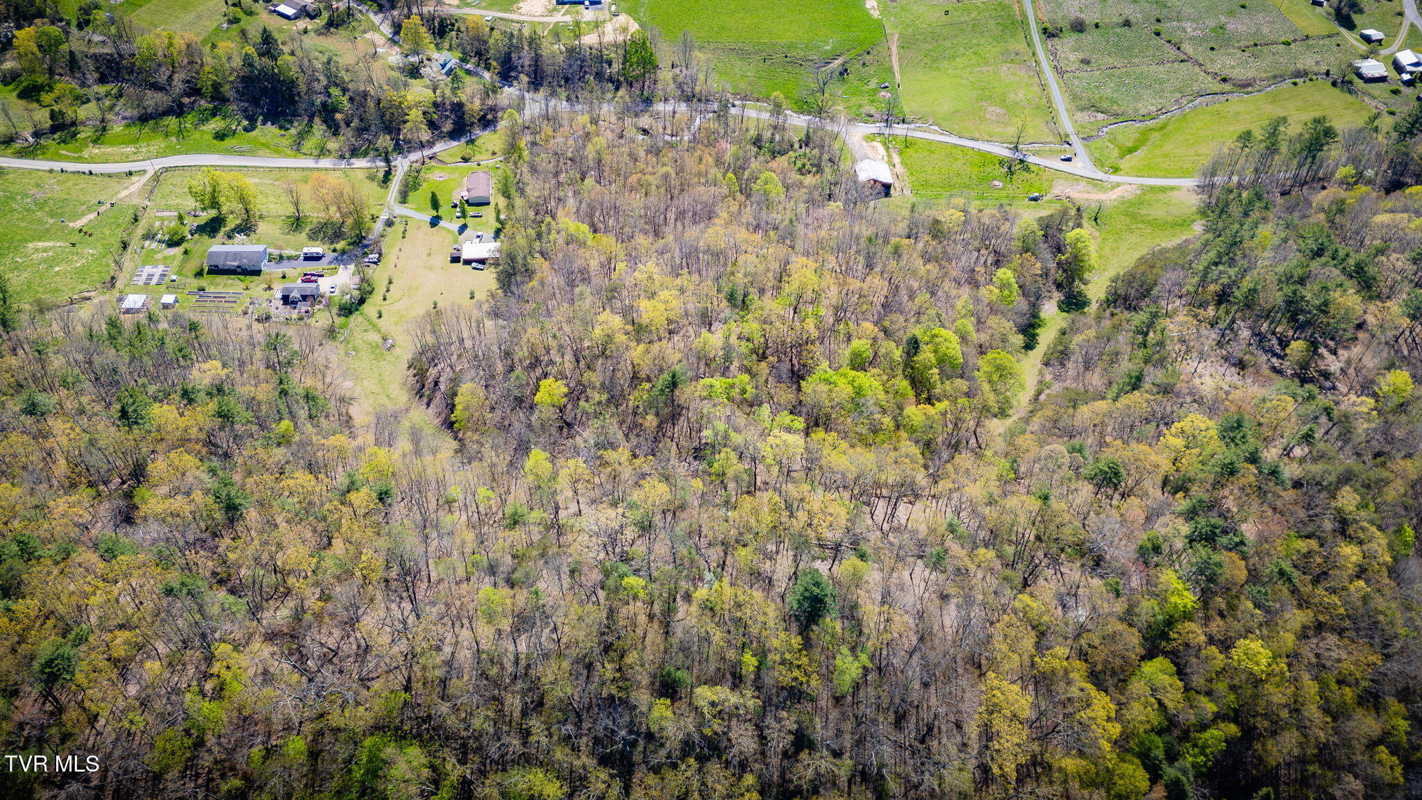 Tbd Morrell Creek Lane, Bluff City, Tennessee image 12