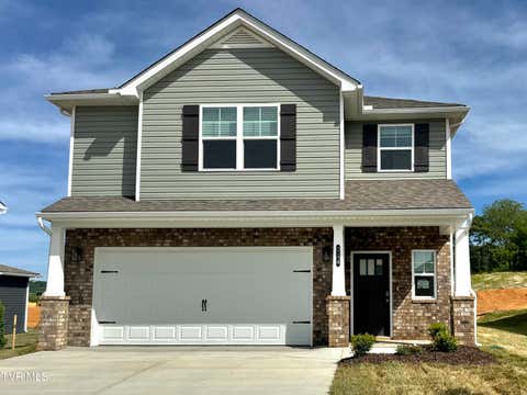 Homes For Sale - 214 Artist Avenue Ave<br/> Washington County County, Johnson City, TN 37615