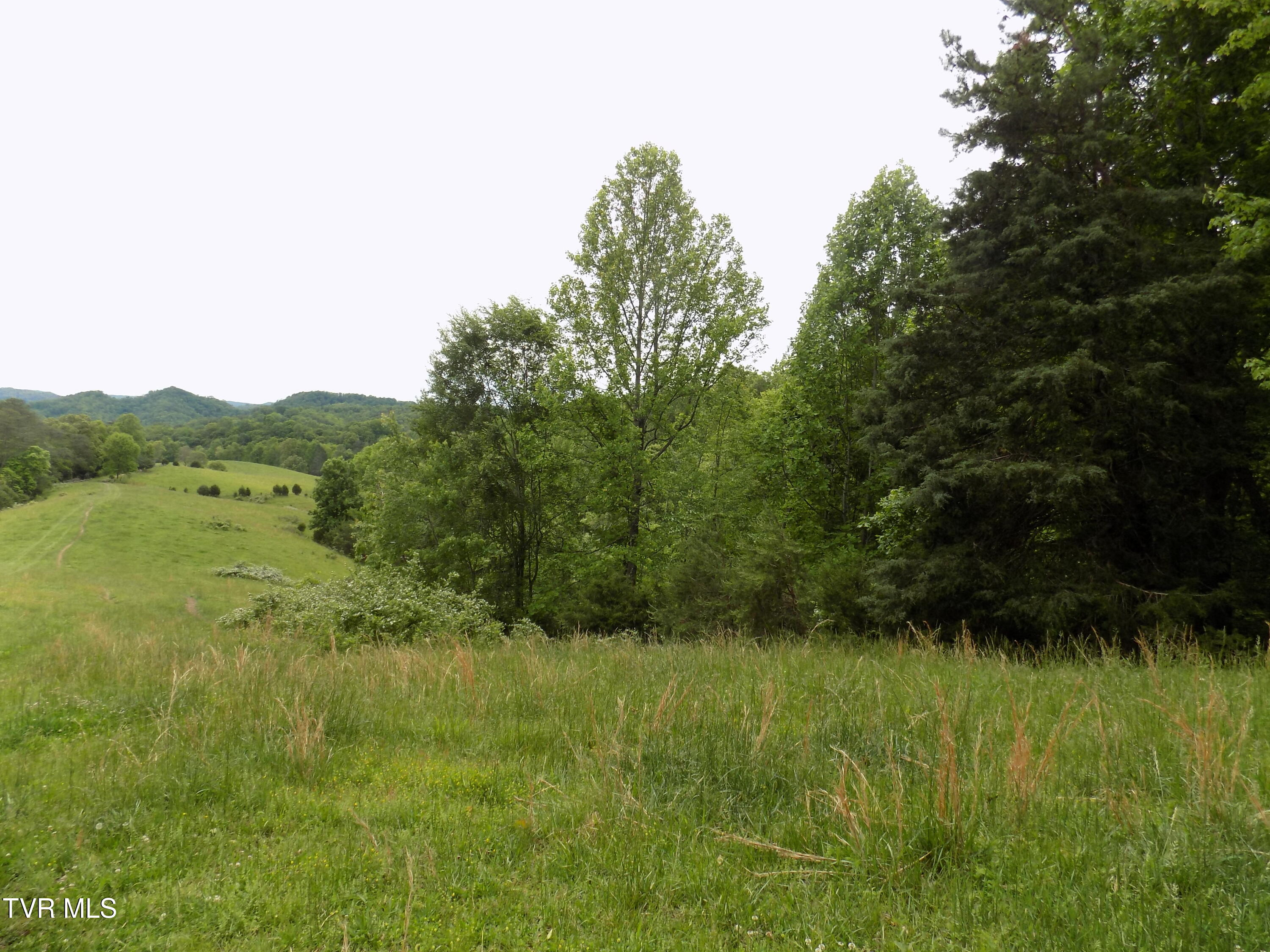 179 Sutton Hollow Road, Sneedville, Tennessee image 22
