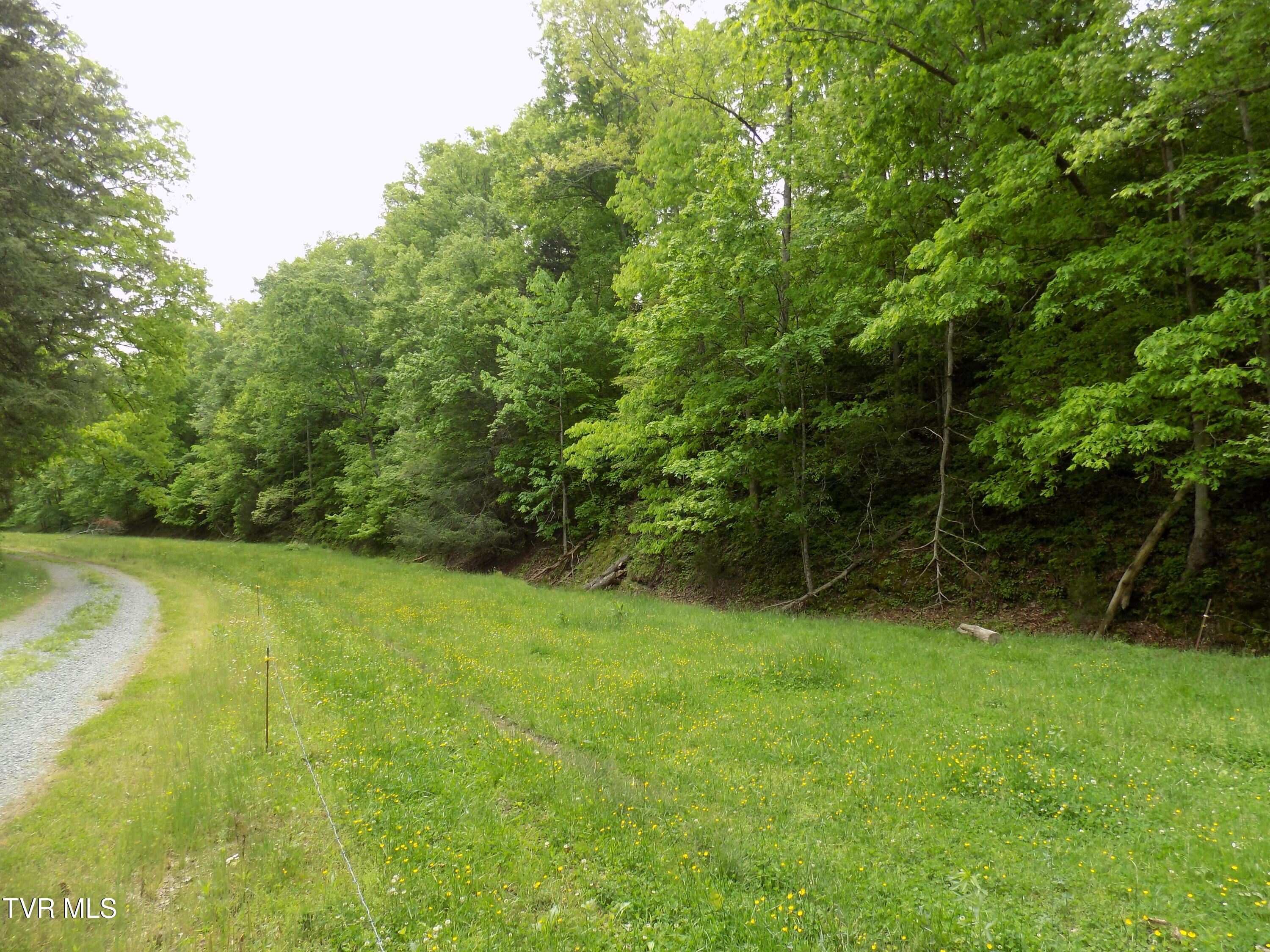 179 Sutton Hollow Road, Sneedville, Tennessee image 5