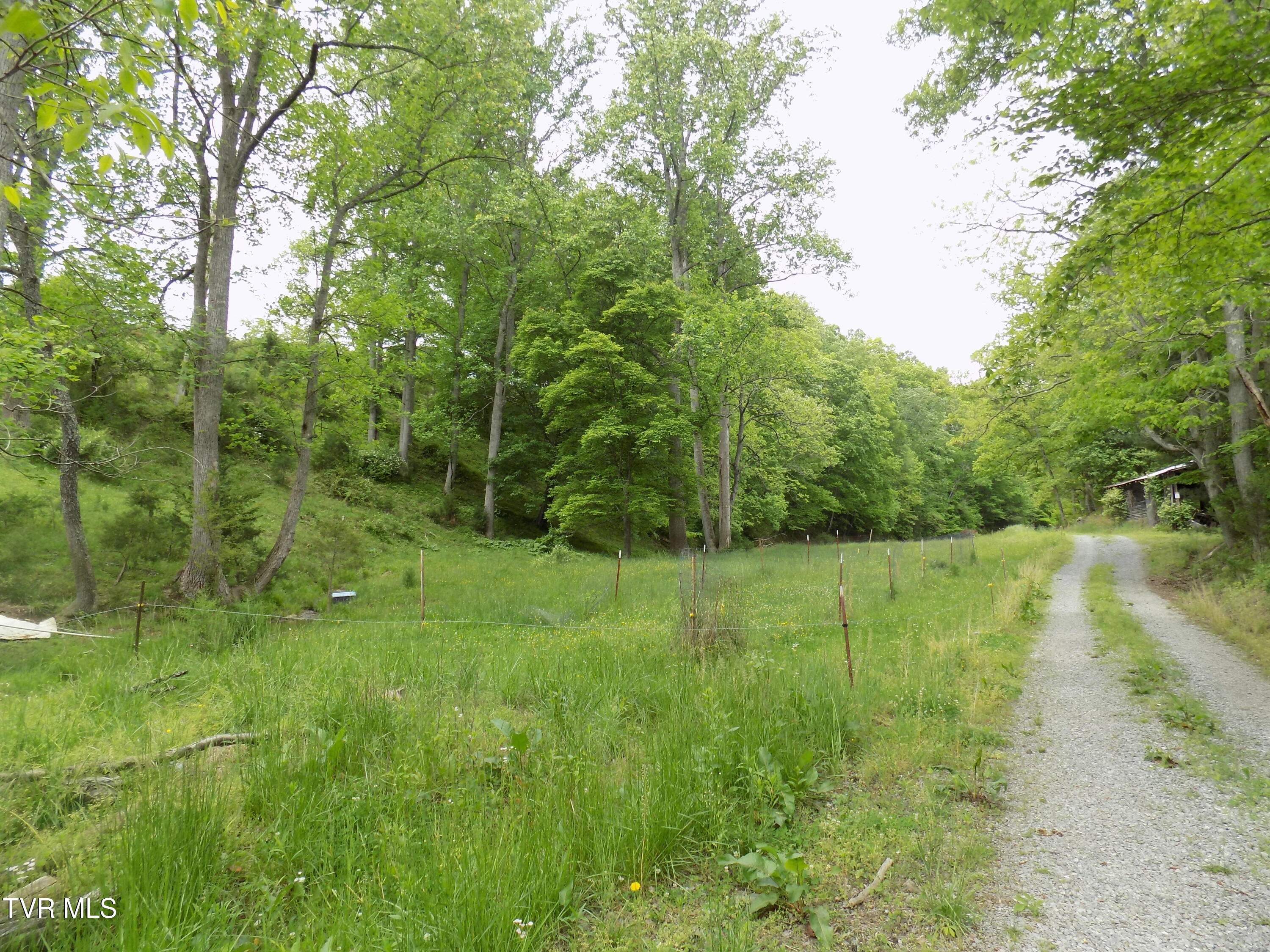 179 Sutton Hollow Road, Sneedville, Tennessee image 6