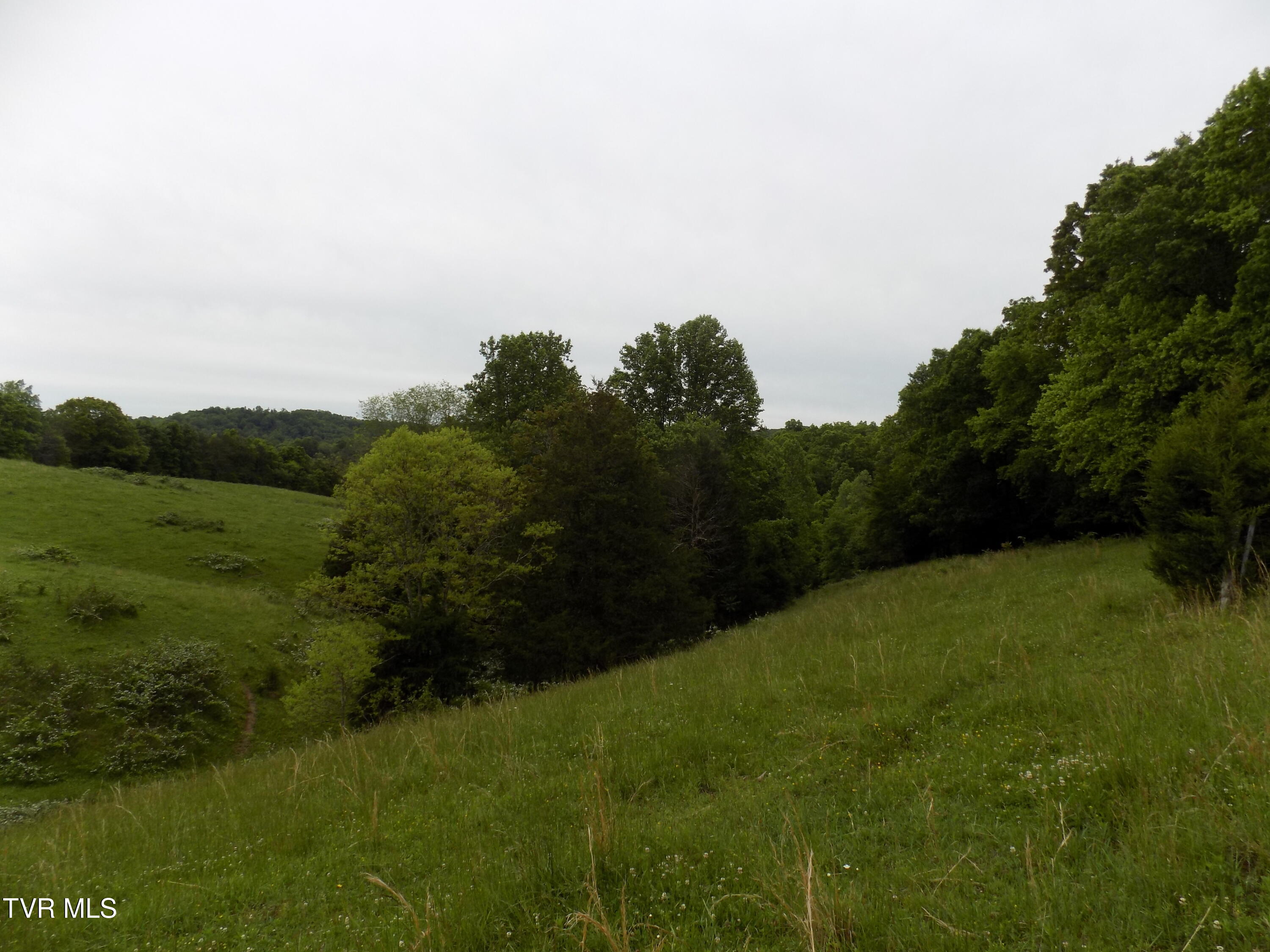 179 Sutton Hollow Road, Sneedville, Tennessee image 14